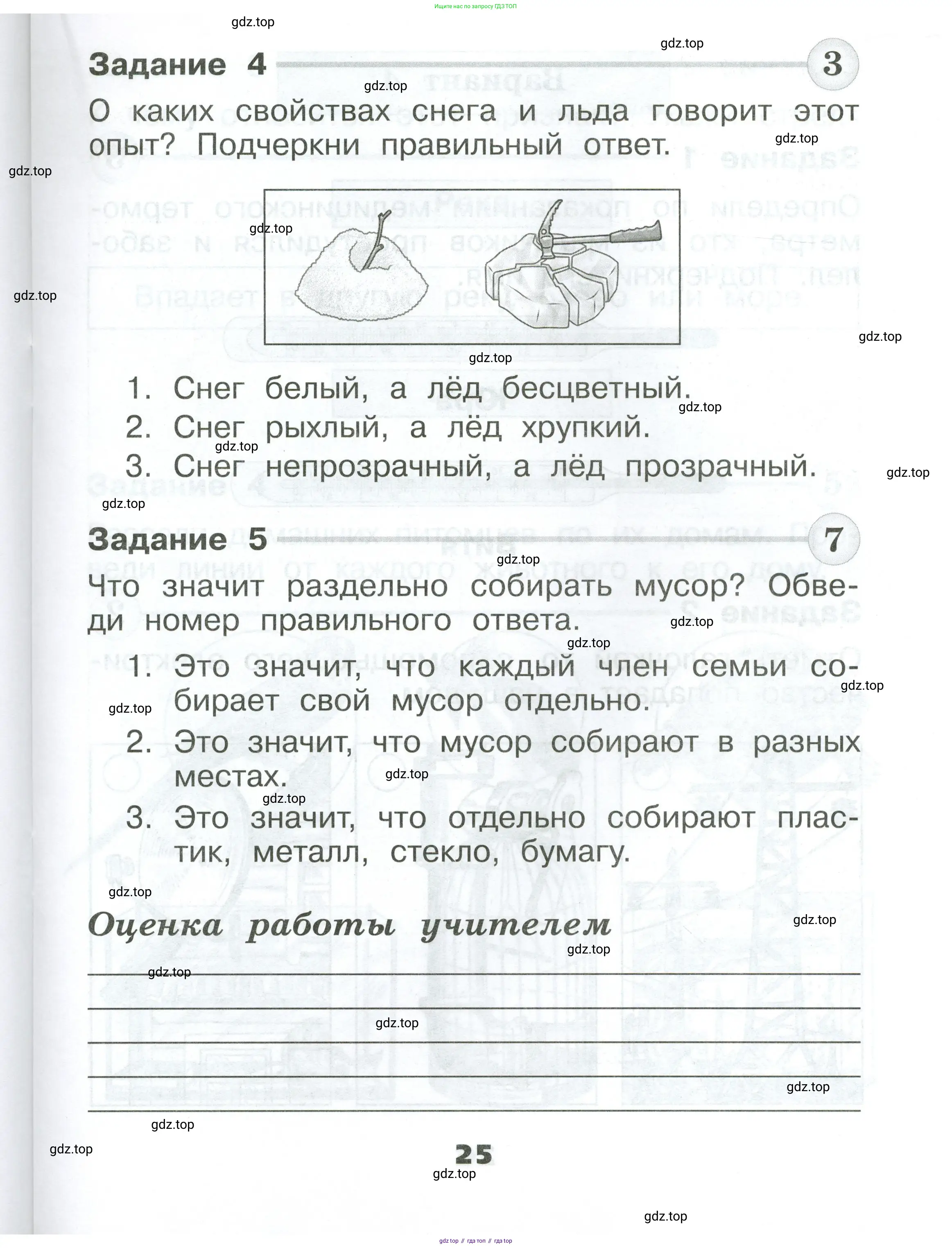 Окружающий мир, 1 класс Проверочные работы, авторы: Плешаков Андрей Анатольевич, Плешаков С А, издательство Просвещение, Москва, 2023, белого цвета, страница 25