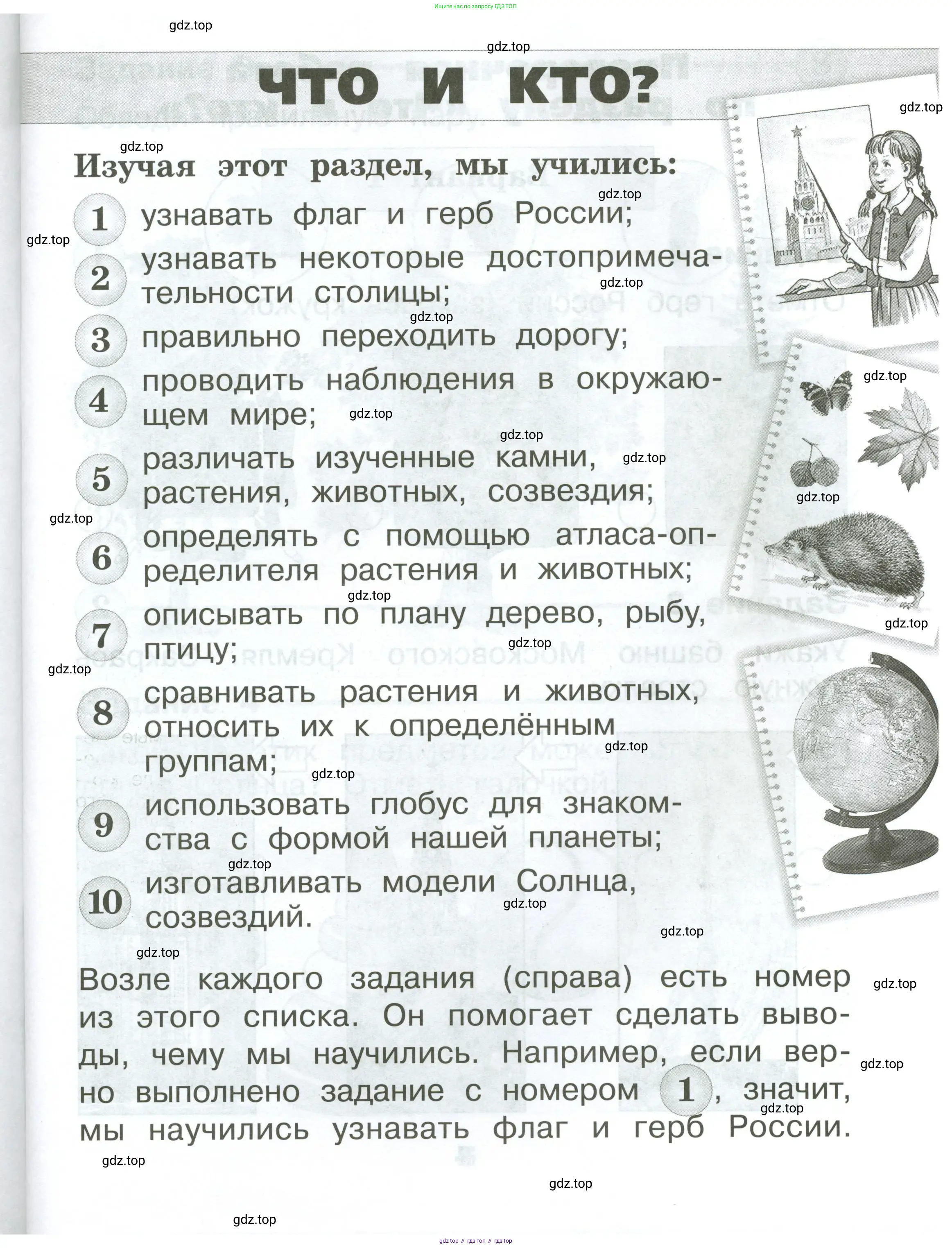 Окружающий мир, 1 класс Проверочные работы, авторы: Плешаков Андрей Анатольевич, Плешаков С А, издательство Просвещение, Москва, 2023, белого цвета, страница 3
