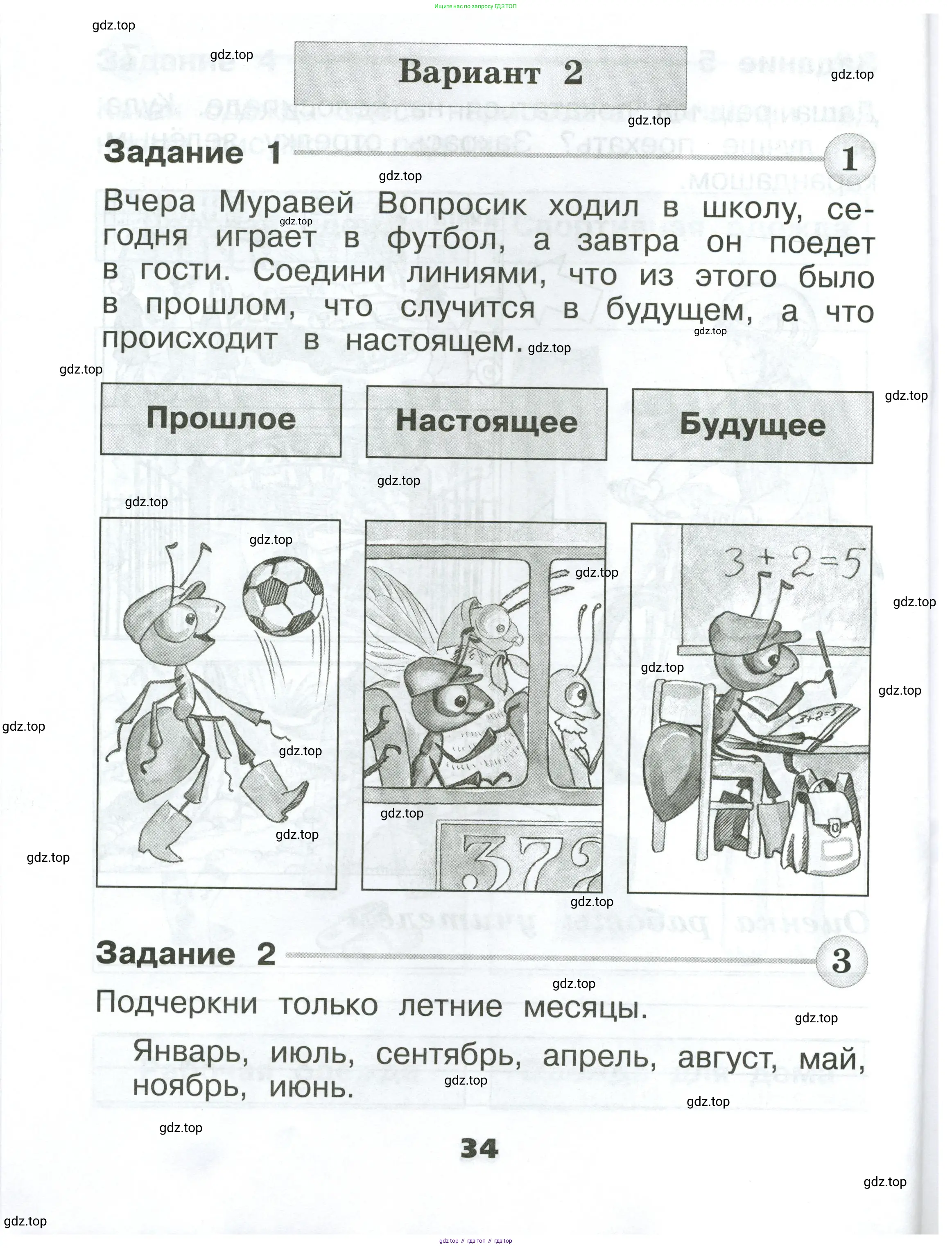 Окружающий мир, 1 класс Проверочные работы, авторы: Плешаков Андрей Анатольевич, Плешаков С А, издательство Просвещение, Москва, 2023, белого цвета, страница 34