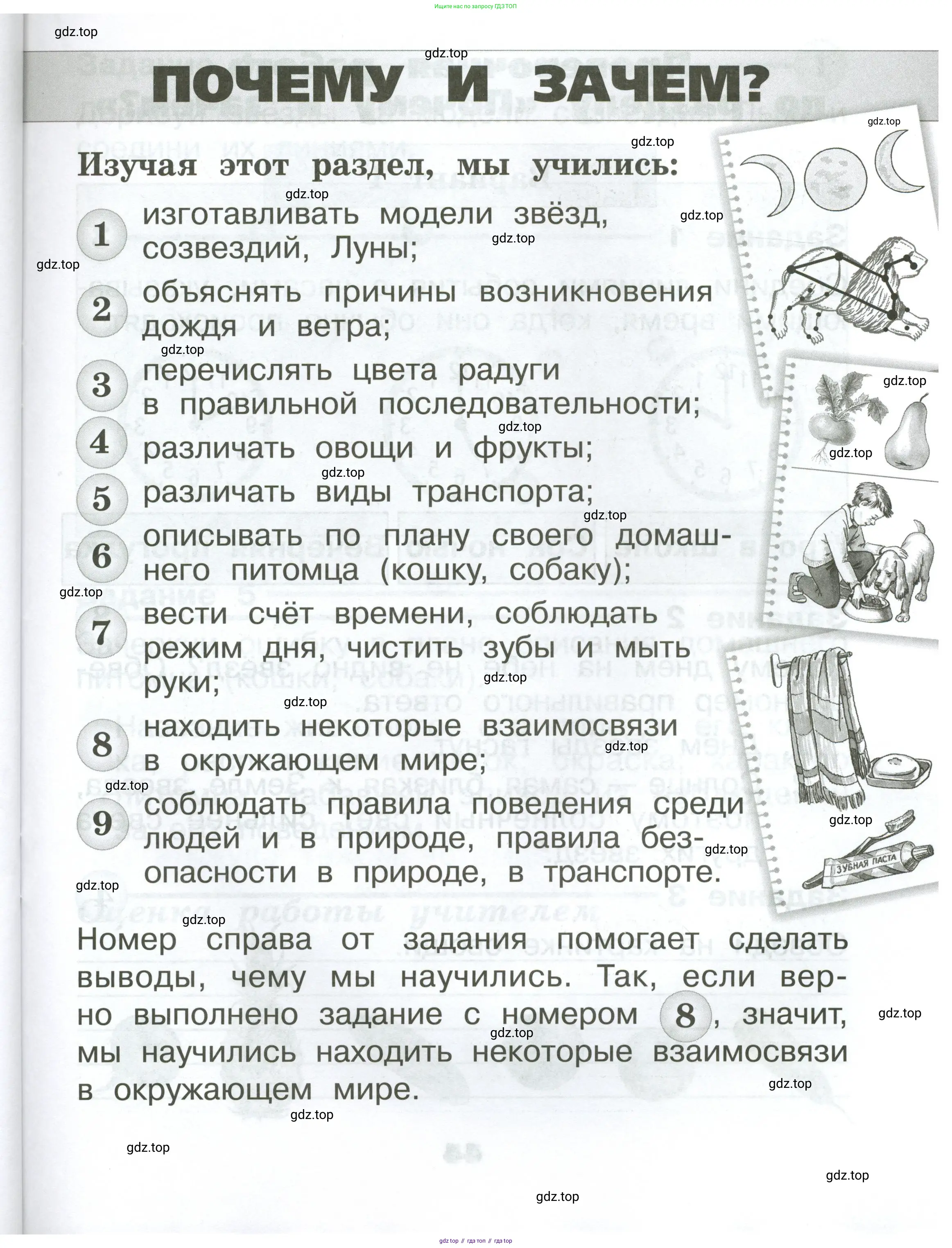 Окружающий мир, 1 класс Проверочные работы, авторы: Плешаков Андрей Анатольевич, Плешаков С А, издательство Просвещение, Москва, 2023, белого цвета, страница 43
