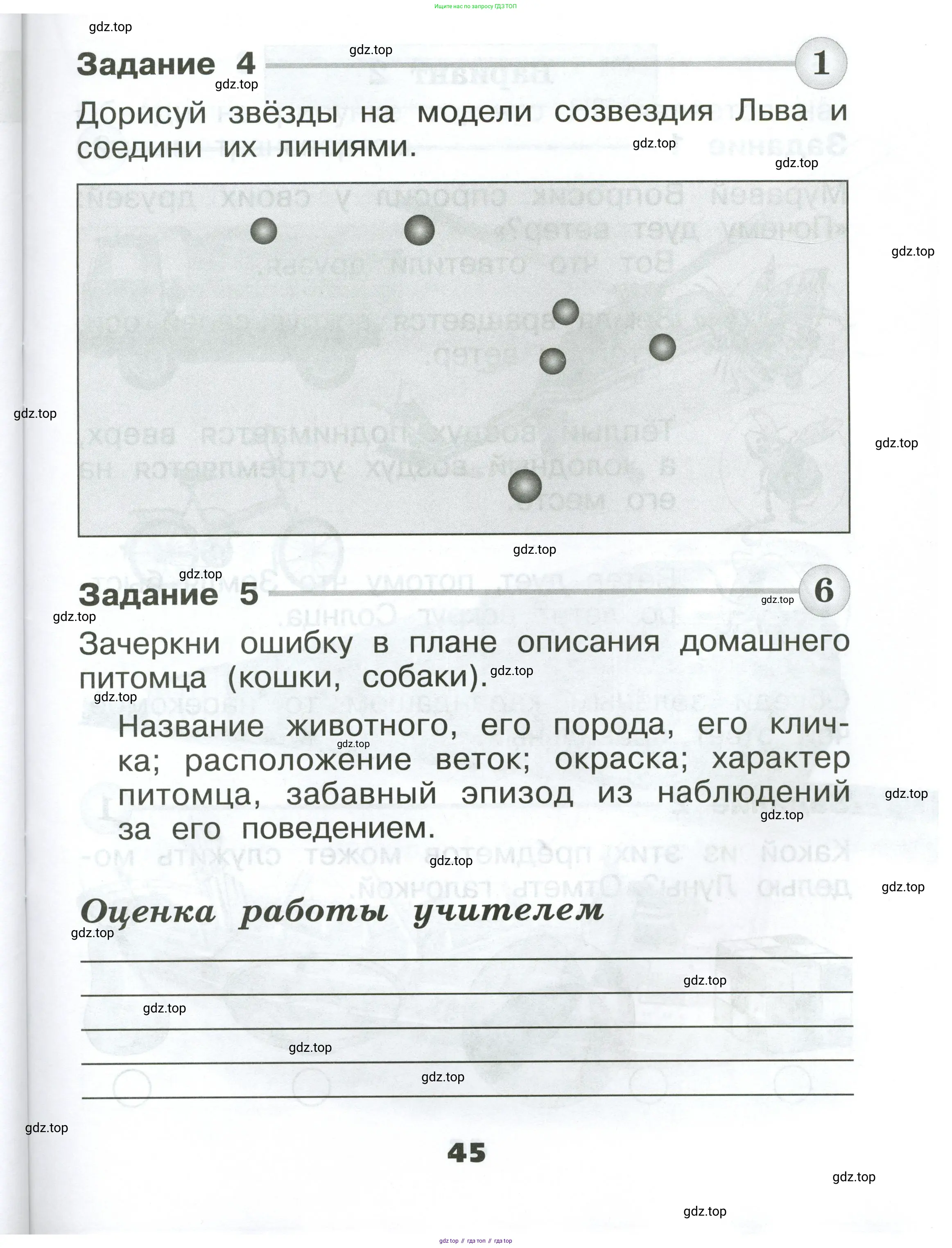 Окружающий мир, 1 класс Проверочные работы, авторы: Плешаков Андрей Анатольевич, Плешаков С А, издательство Просвещение, Москва, 2023, белого цвета, страница 45