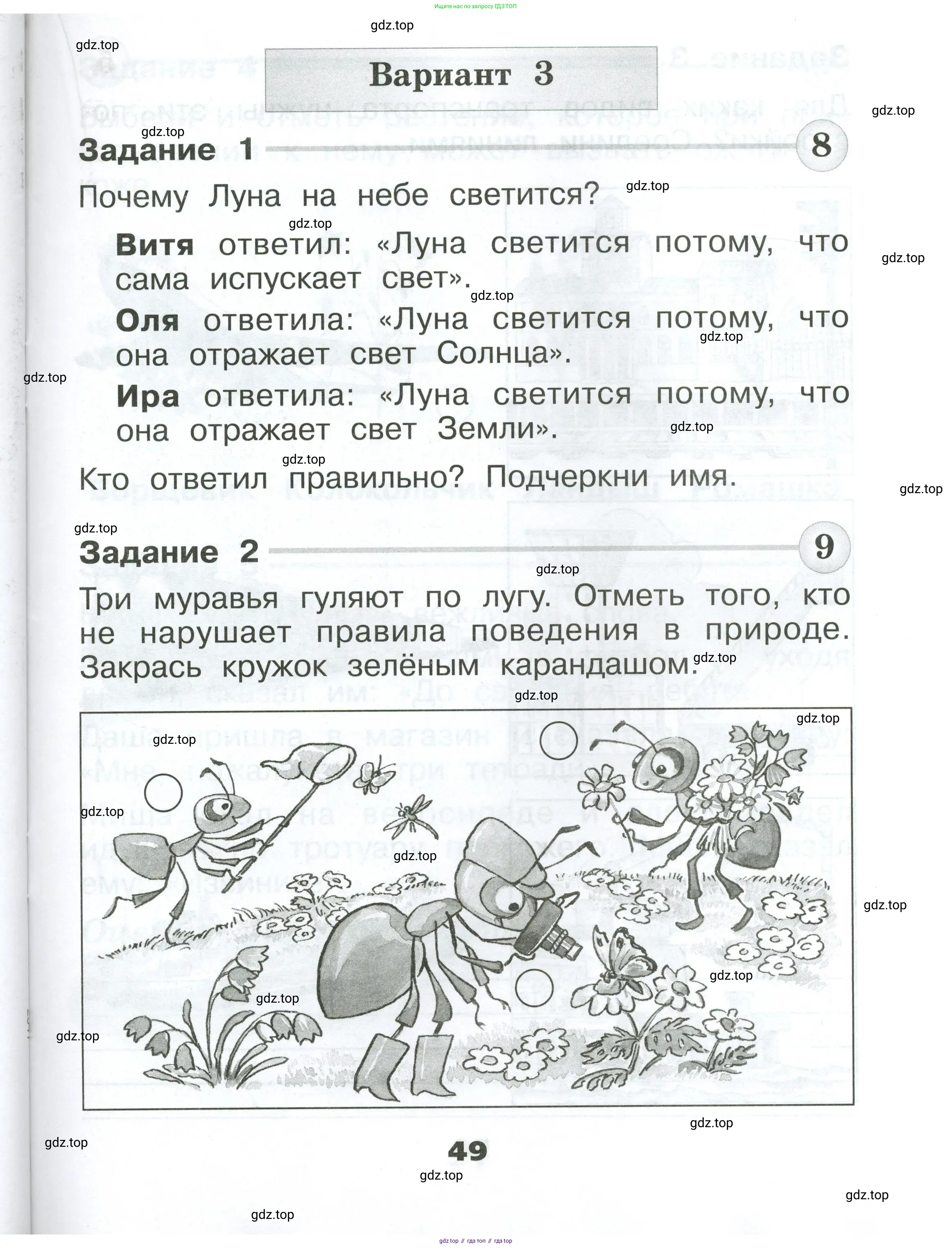 Окружающий мир, 1 класс Проверочные работы, авторы: Плешаков Андрей Анатольевич, Плешаков С А, издательство Просвещение, Москва, 2023, белого цвета, страница 49