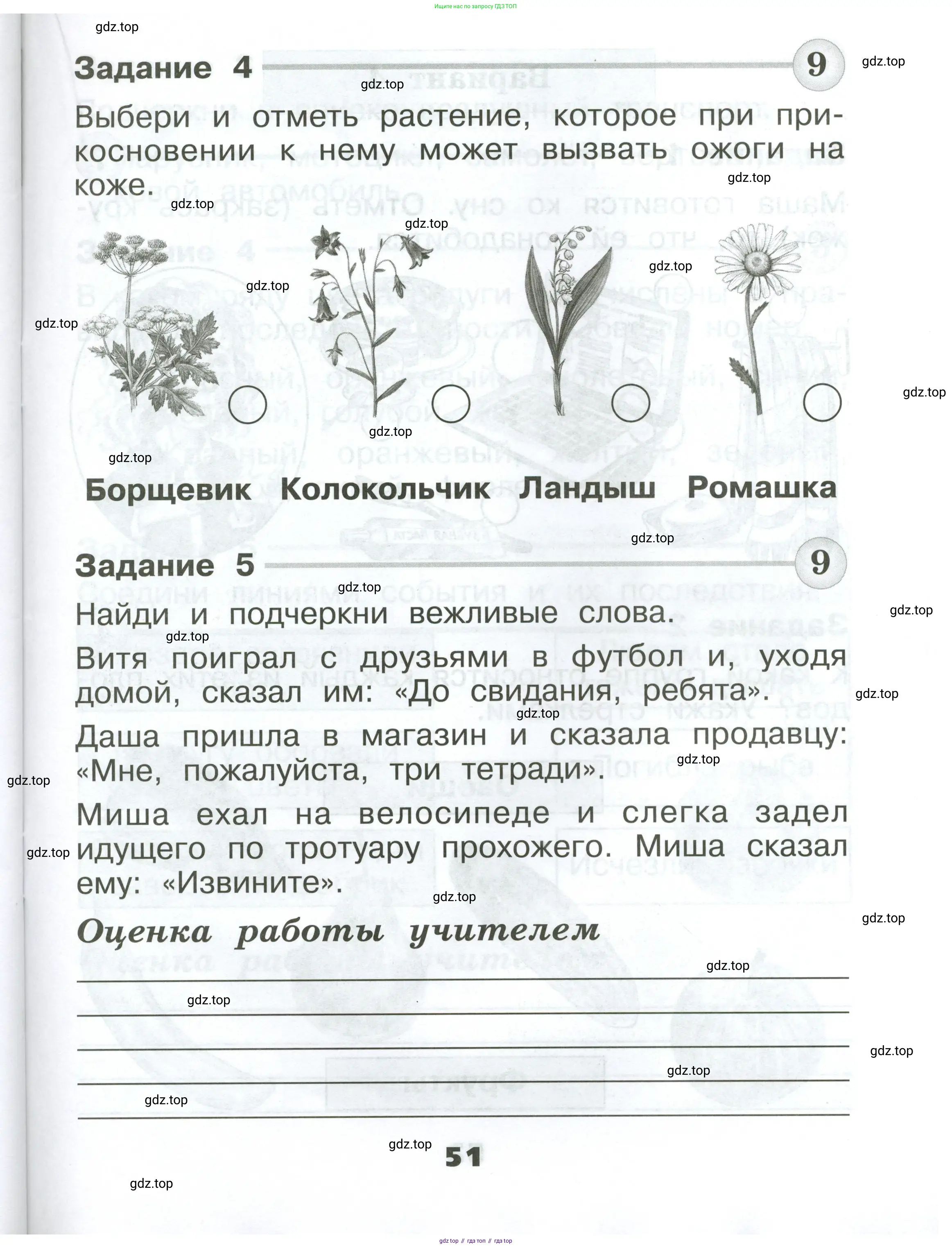 Окружающий мир, 1 класс Проверочные работы, авторы: Плешаков Андрей Анатольевич, Плешаков С А, издательство Просвещение, Москва, 2023, белого цвета, страница 51