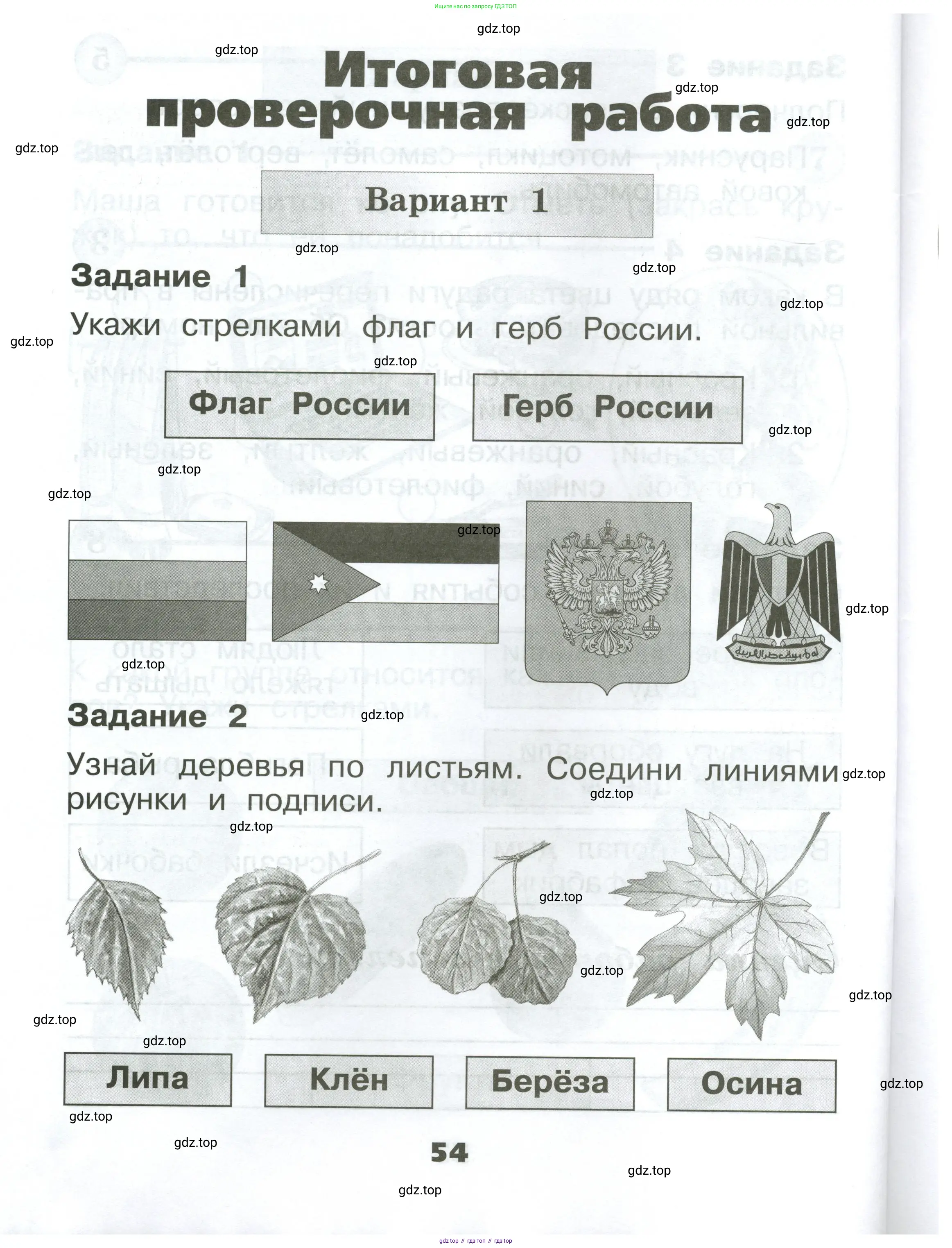 Окружающий мир, 1 класс Проверочные работы, авторы: Плешаков Андрей Анатольевич, Плешаков С А, издательство Просвещение, Москва, 2023, белого цвета, страница 54