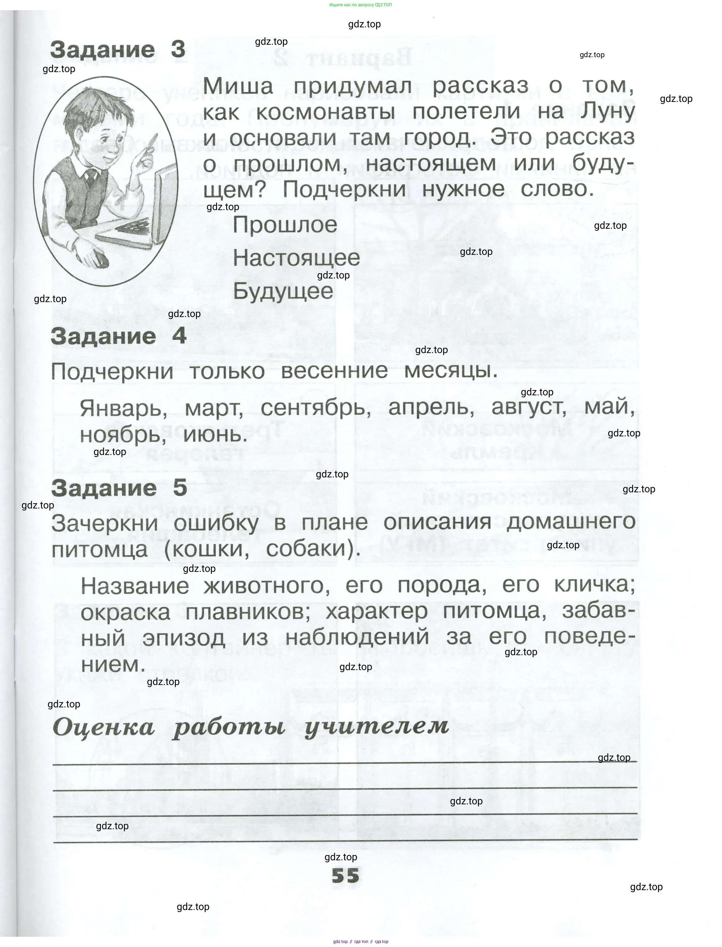 Окружающий мир, 1 класс Проверочные работы, авторы: Плешаков Андрей Анатольевич, Плешаков С А, издательство Просвещение, Москва, 2023, белого цвета, страница 55