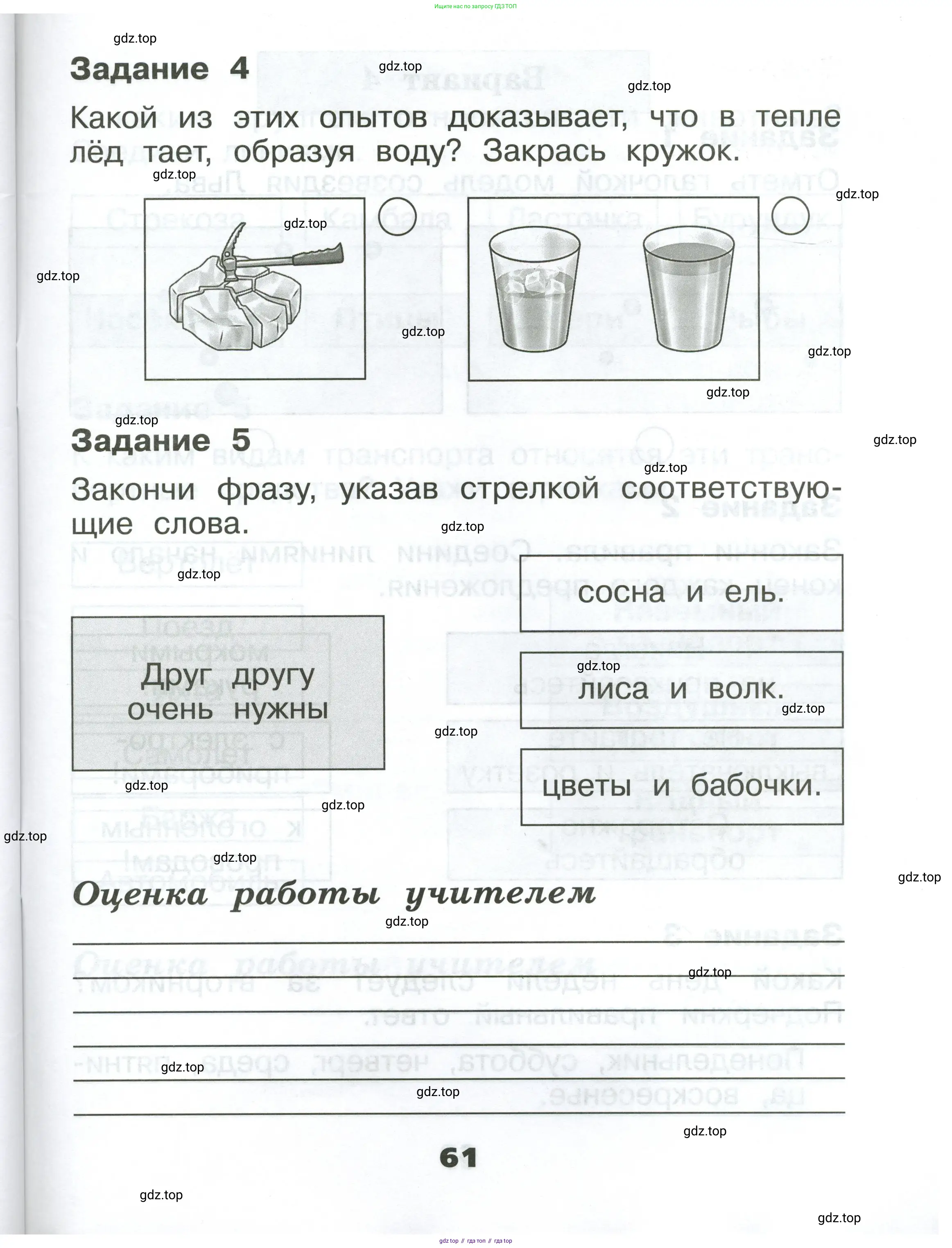 Окружающий мир, 1 класс Проверочные работы, авторы: Плешаков Андрей Анатольевич, Плешаков С А, издательство Просвещение, Москва, 2023, белого цвета, страница 61