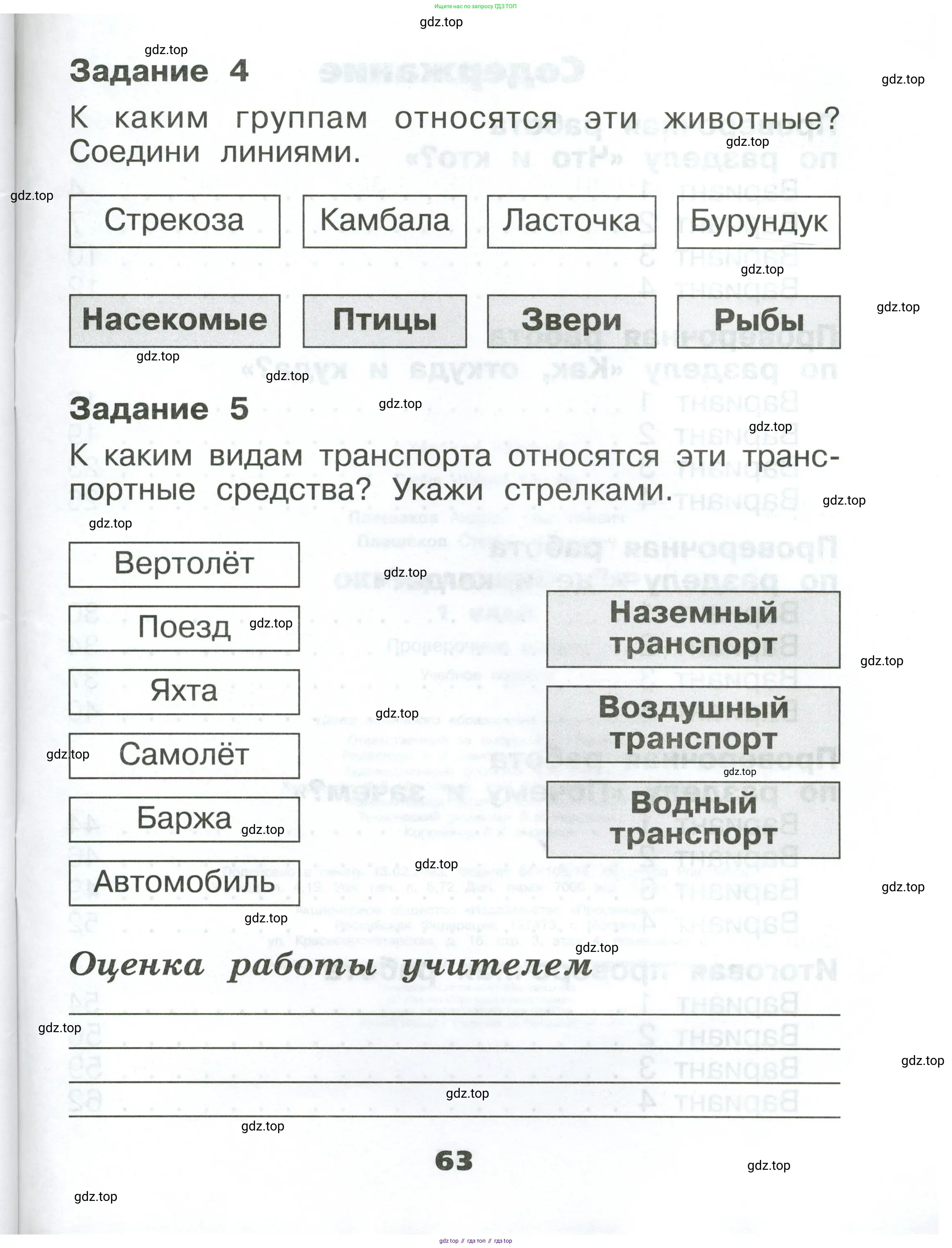 Окружающий мир, 1 класс Проверочные работы, авторы: Плешаков Андрей Анатольевич, Плешаков С А, издательство Просвещение, Москва, 2023, белого цвета, страница 63