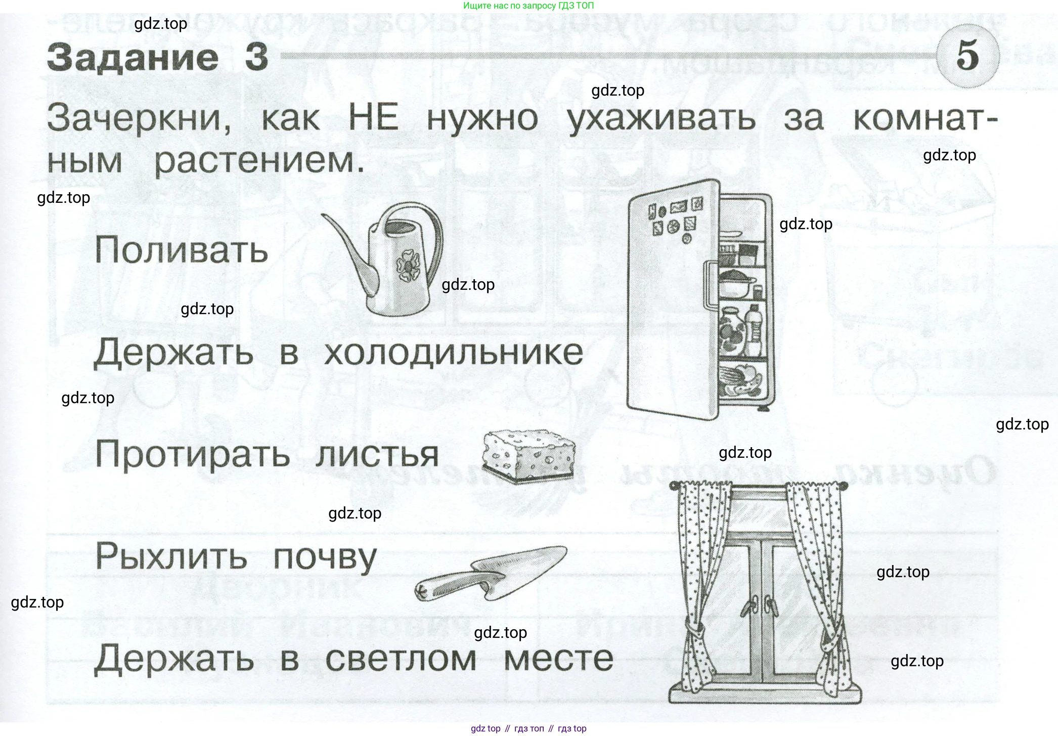 ГДЗ Окружающий мир, 1 класс Проверочные работы, авторы: Плешаков Андрей Анатольевич, Плешаков С А, издательство Просвещение, Москва, 2023, белого цвета, страница 17, номер 3, Условие