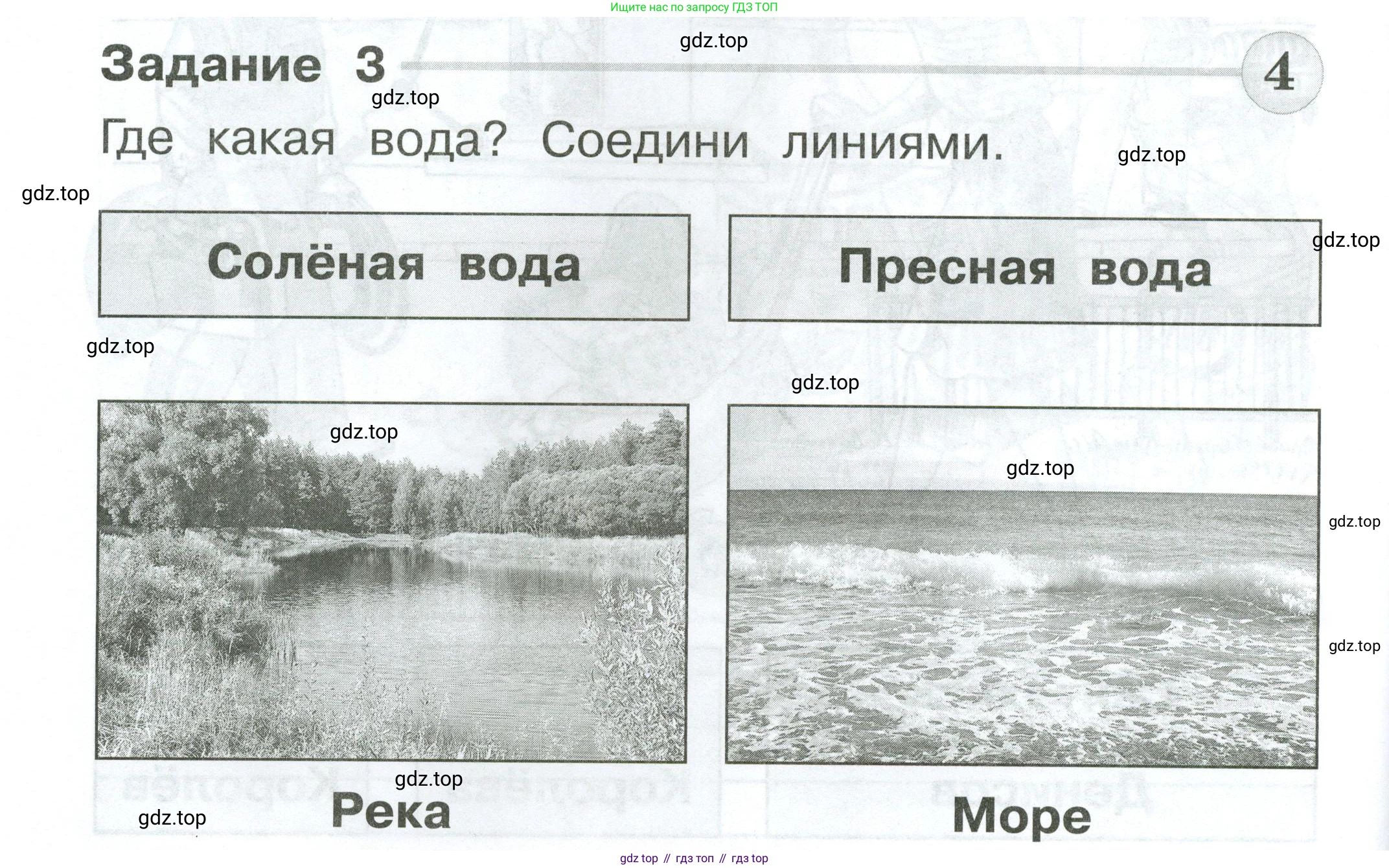 ГДЗ Окружающий мир, 1 класс Проверочные работы, авторы: Плешаков Андрей Анатольевич, Плешаков С А, издательство Просвещение, Москва, 2023, белого цвета, страница 24, номер 3, Условие