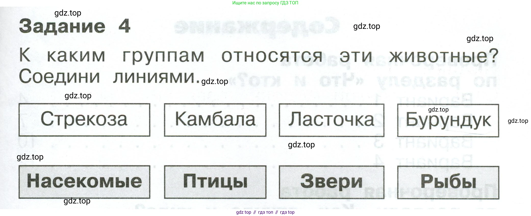 ГДЗ Окружающий мир, 1 класс Проверочные работы, авторы: Плешаков Андрей Анатольевич, Плешаков С А, издательство Просвещение, Москва, 2023, белого цвета, страница 63, номер 4, Условие