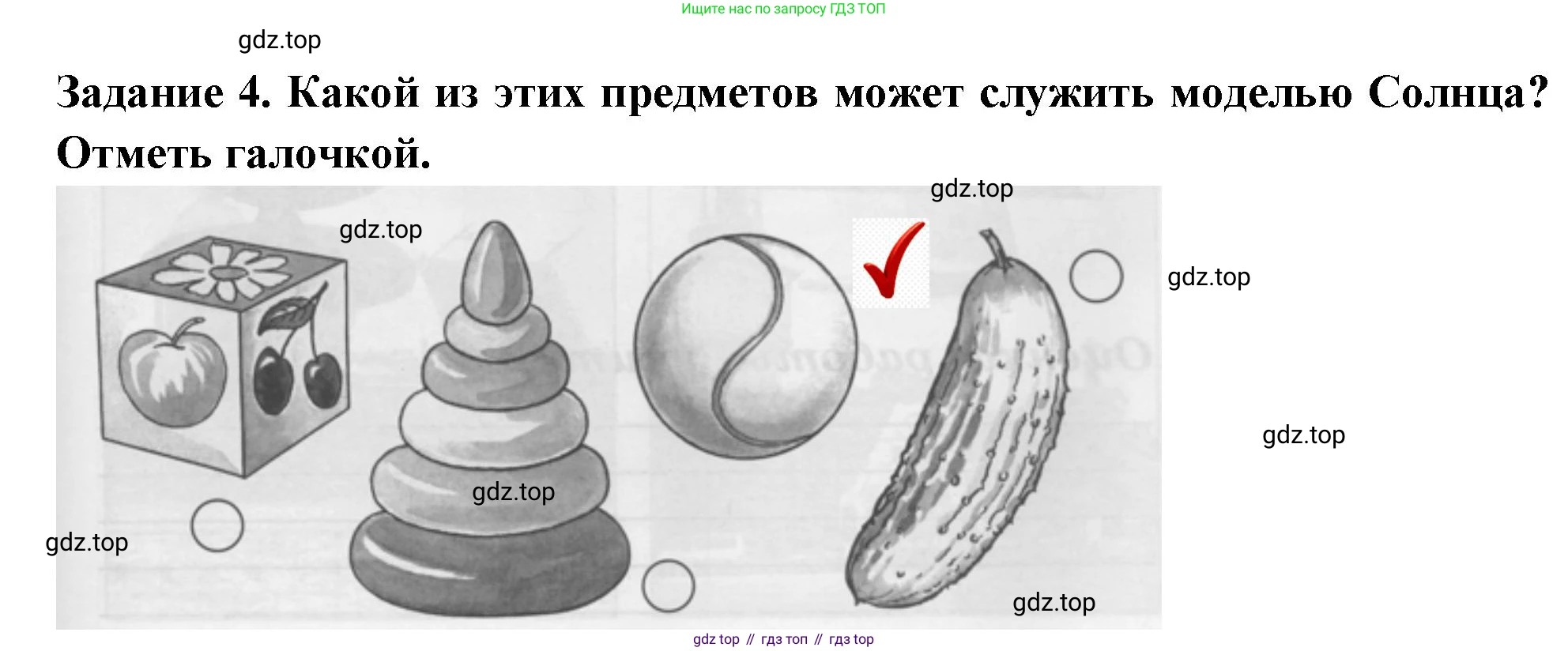 ГДЗ Окружающий мир, 1 класс Проверочные работы, авторы: Плешаков Андрей Анатольевич, Плешаков С А, издательство Просвещение, Москва, 2023, белого цвета, страница 5, номер 4, Решение