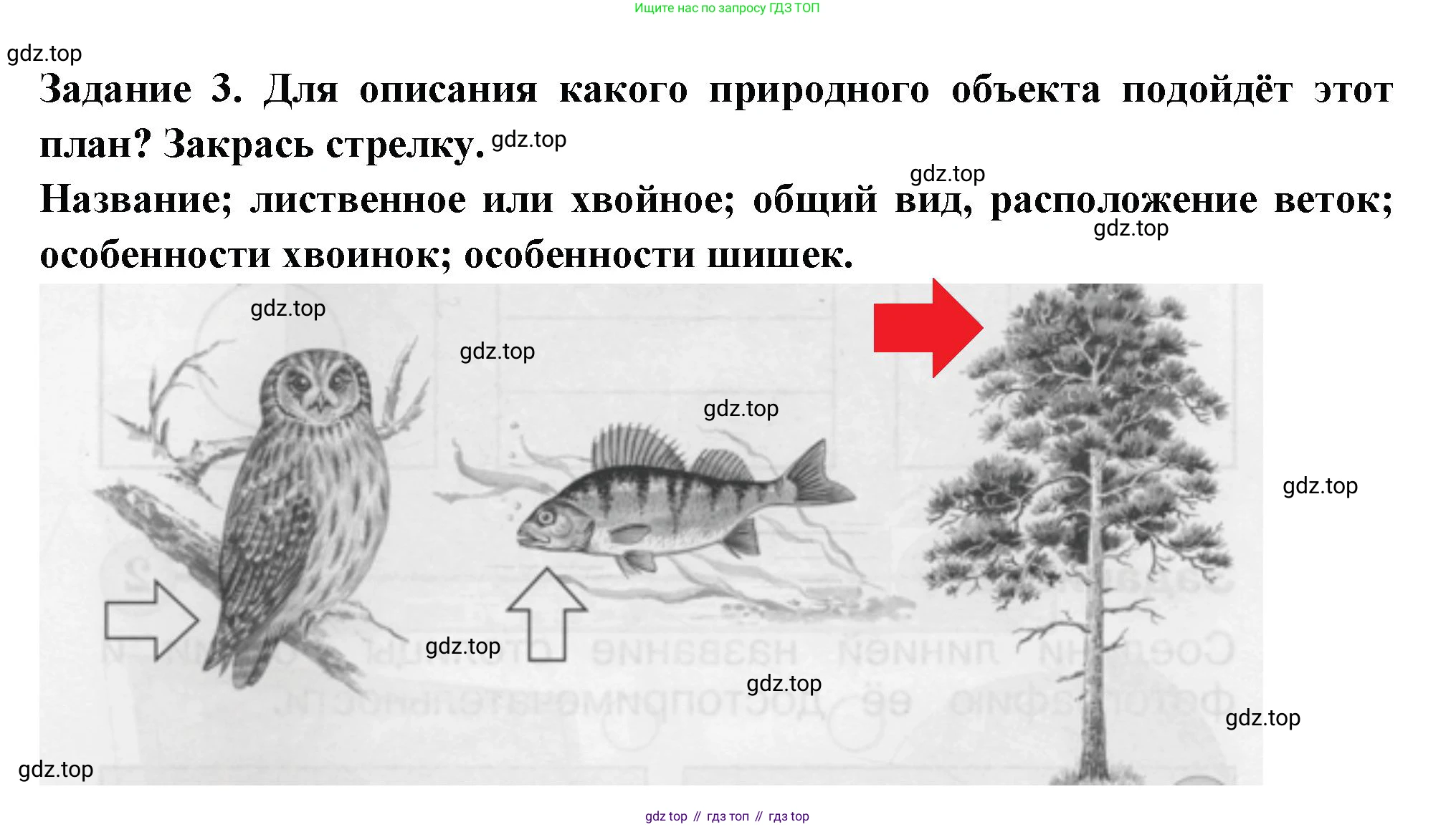 ГДЗ Окружающий мир, 1 класс Проверочные работы, авторы: Плешаков Андрей Анатольевич, Плешаков С А, издательство Просвещение, Москва, 2023, белого цвета, страница 8, номер 3, Решение
