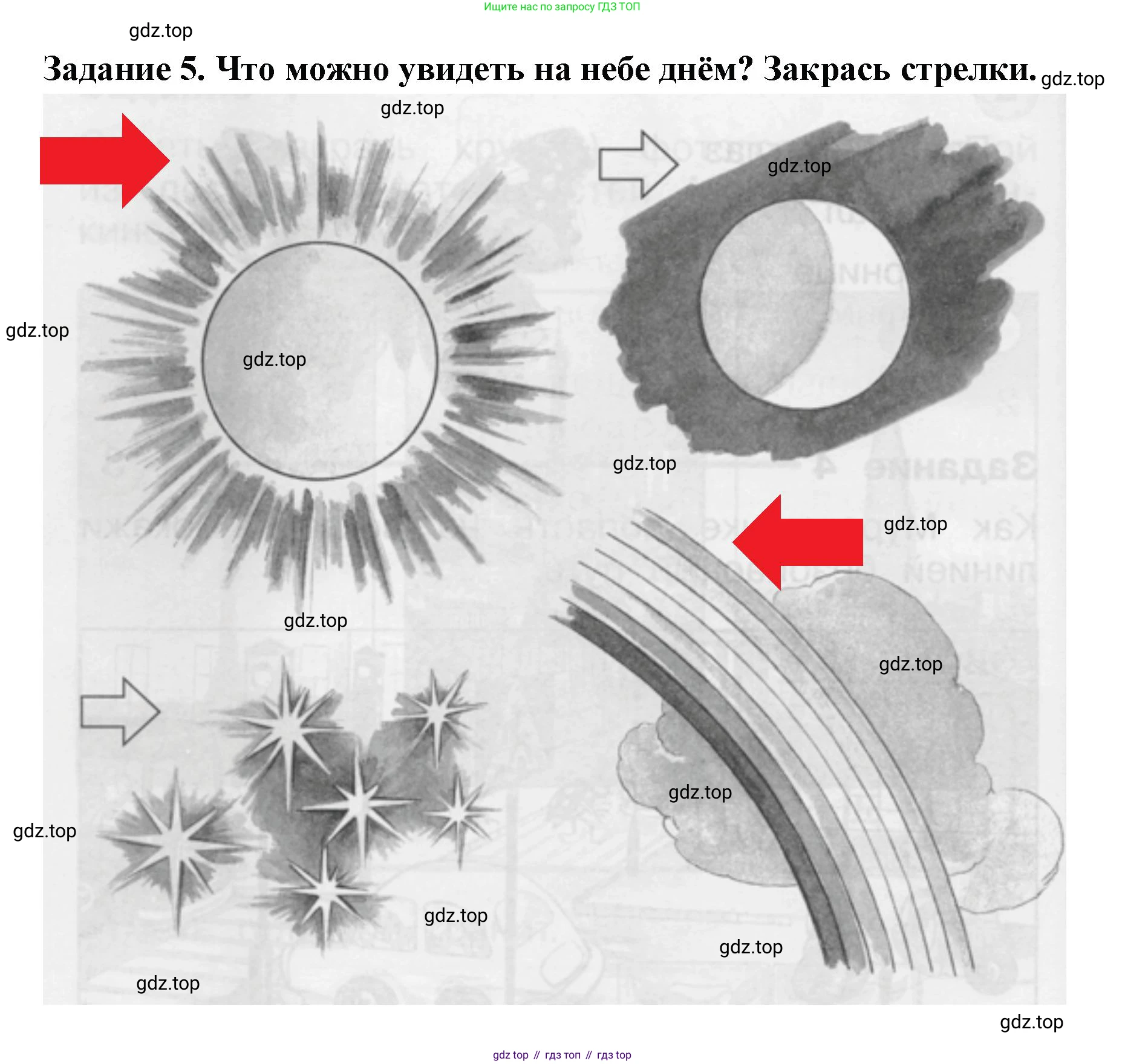 ГДЗ Окружающий мир, 1 класс Проверочные работы, авторы: Плешаков Андрей Анатольевич, Плешаков С А, издательство Просвещение, Москва, 2023, белого цвета, страница 14, номер 5, Решение