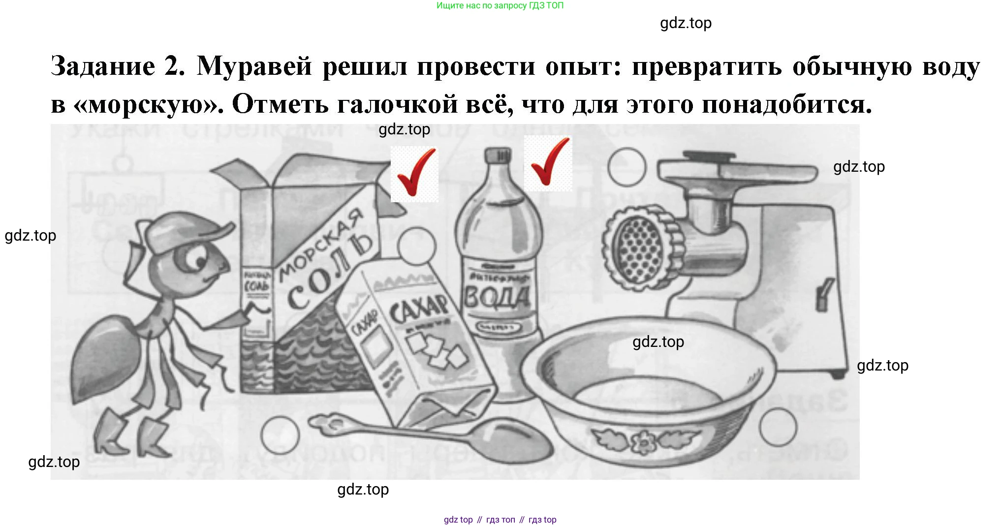 ГДЗ Окружающий мир, 1 класс Проверочные работы, авторы: Плешаков Андрей Анатольевич, Плешаков С А, издательство Просвещение, Москва, 2023, белого цвета, страница 17, номер 2, Решение