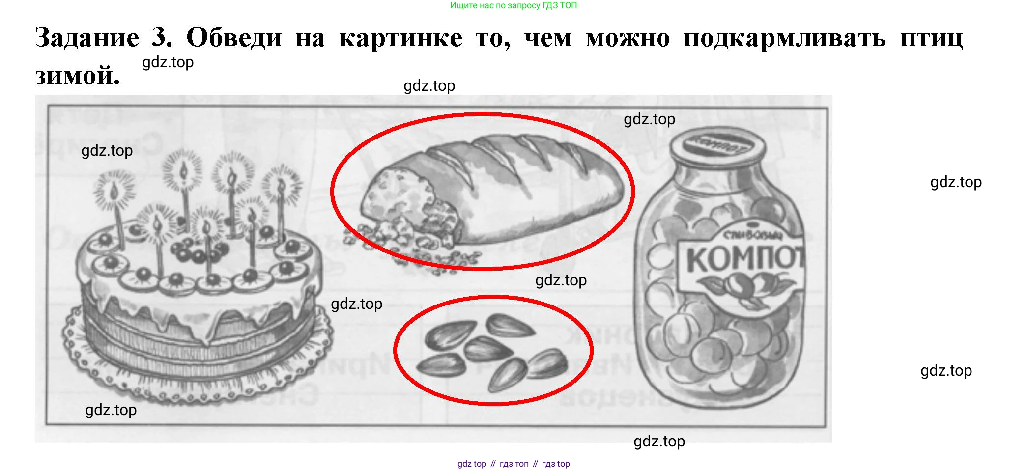 ГДЗ Окружающий мир, 1 класс Проверочные работы, авторы: Плешаков Андрей Анатольевич, Плешаков С А, издательство Просвещение, Москва, 2023, белого цвета, страница 20, номер 3, Решение