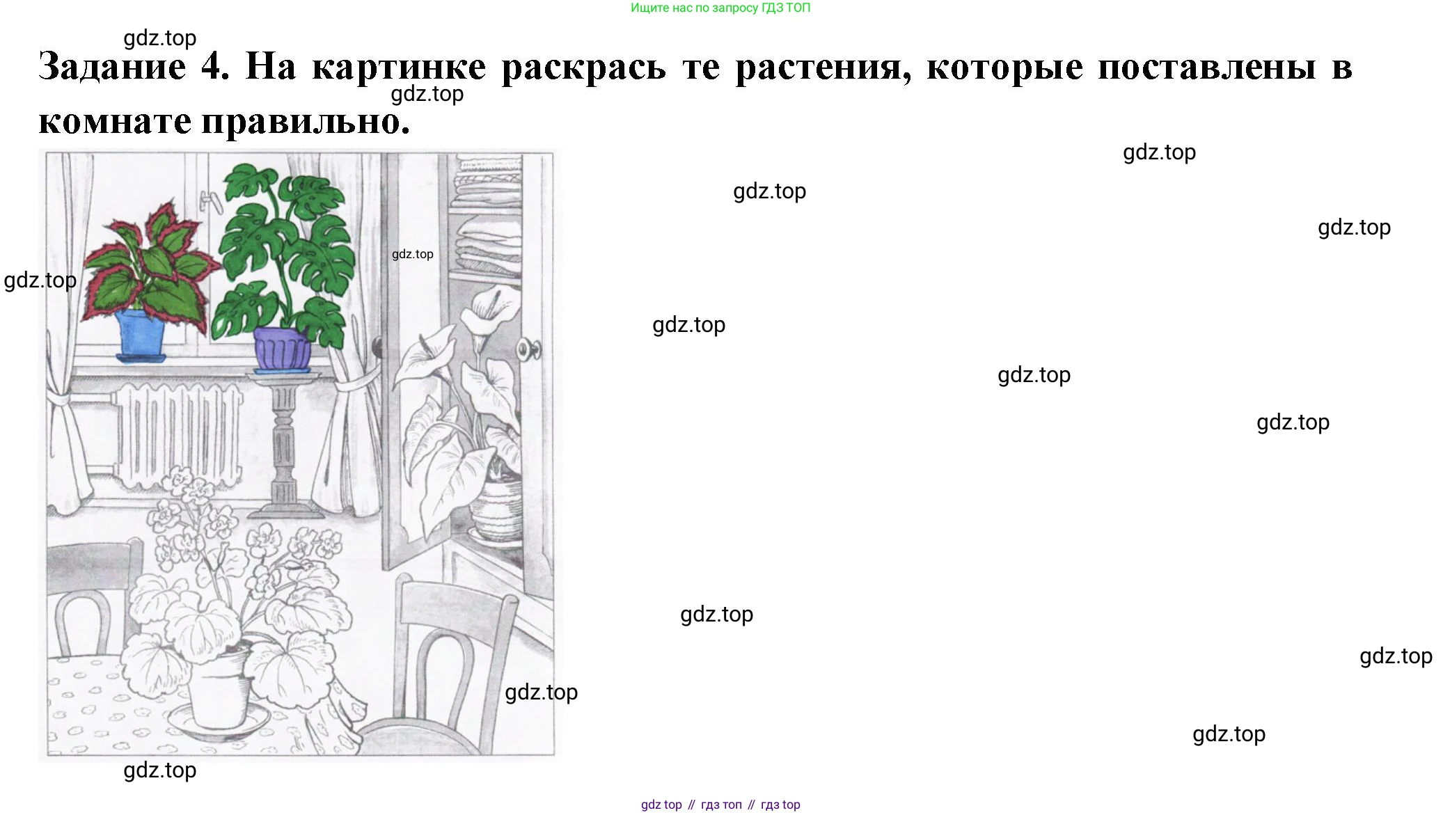 ГДЗ Окружающий мир, 1 класс Проверочные работы, авторы: Плешаков Андрей Анатольевич, Плешаков С А, издательство Просвещение, Москва, 2023, белого цвета, страница 21, номер 4, Решение