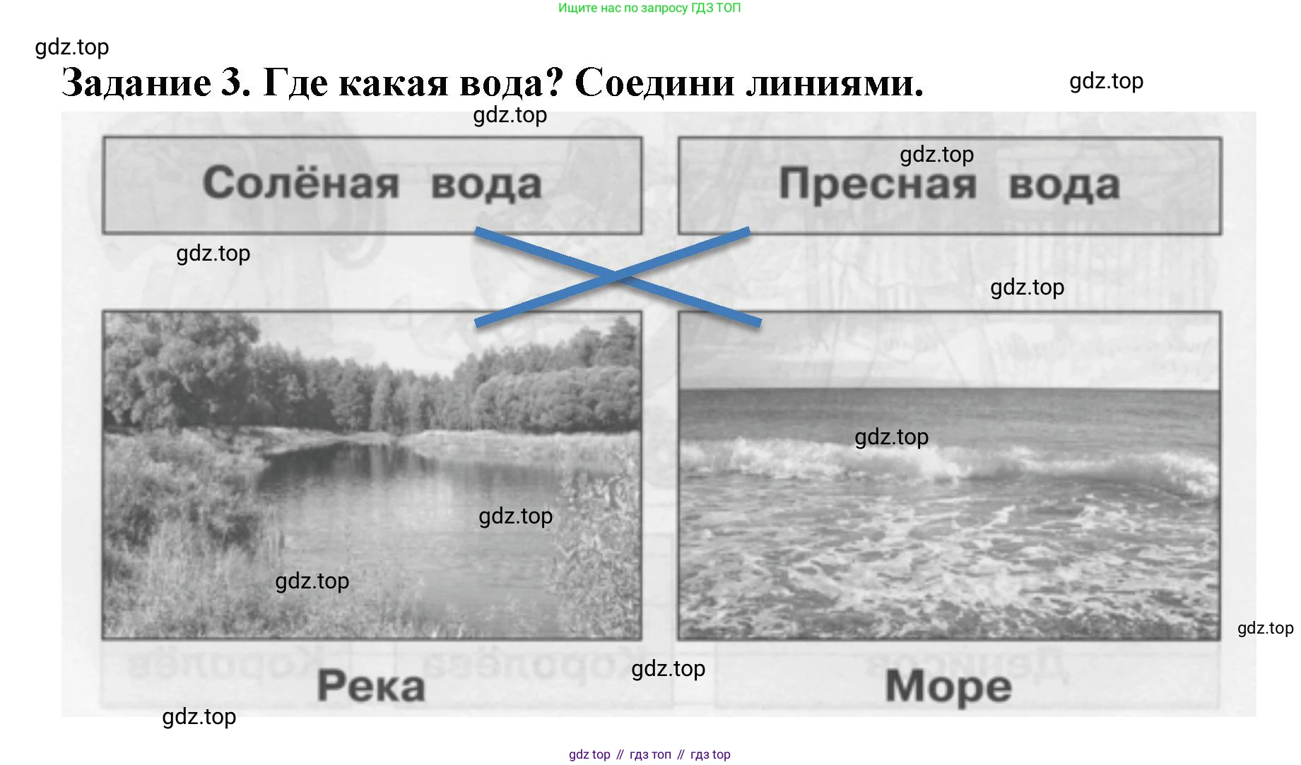 ГДЗ Окружающий мир, 1 класс Проверочные работы, авторы: Плешаков Андрей Анатольевич, Плешаков С А, издательство Просвещение, Москва, 2023, белого цвета, страница 24, номер 3, Решение