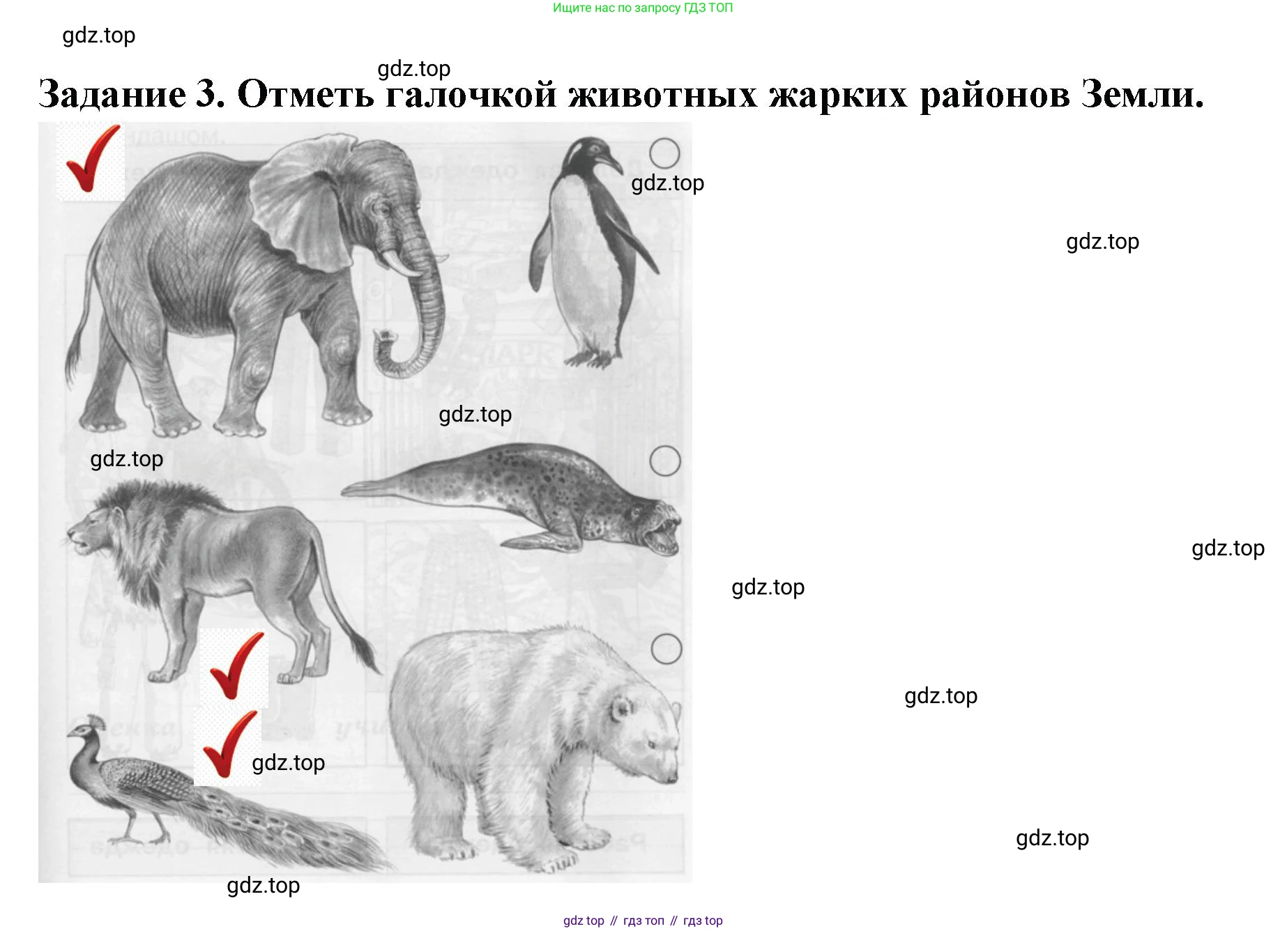 ГДЗ Окружающий мир, 1 класс Проверочные работы, авторы: Плешаков Андрей Анатольевич, Плешаков С А, издательство Просвещение, Москва, 2023, белого цвета, страница 31, номер 3, Решение