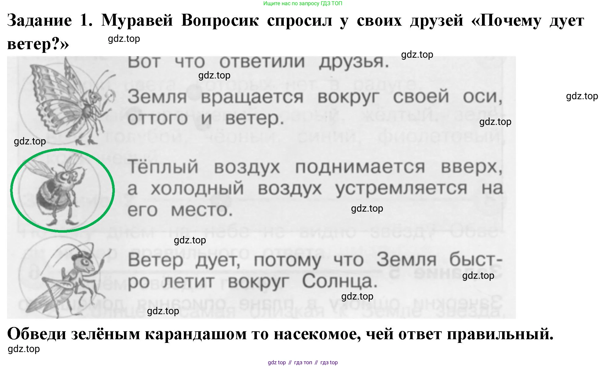 ГДЗ Окружающий мир, 1 класс Проверочные работы, авторы: Плешаков Андрей Анатольевич, Плешаков С А, издательство Просвещение, Москва, 2023, белого цвета, страница 46, номер 1, Решение