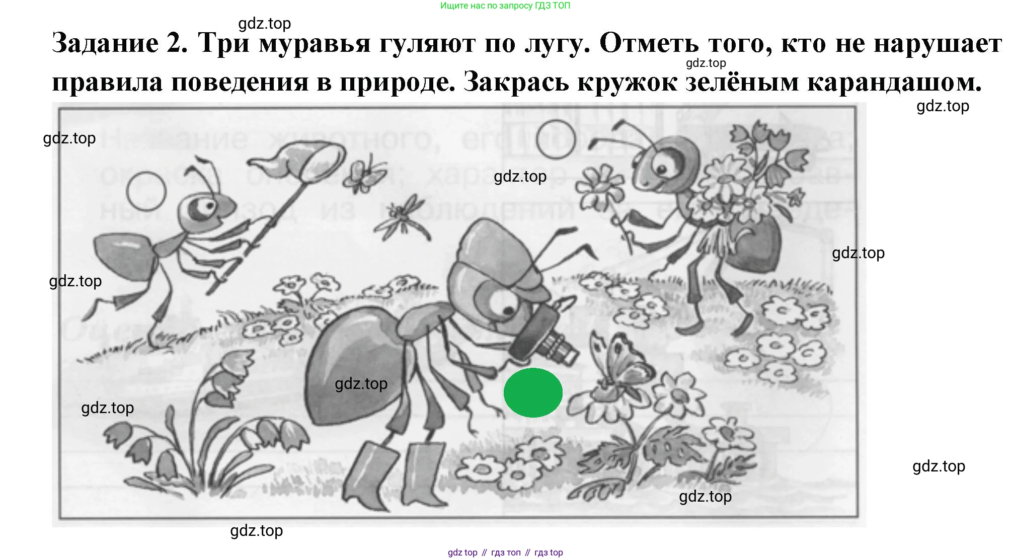 ГДЗ Окружающий мир, 1 класс Проверочные работы, авторы: Плешаков Андрей Анатольевич, Плешаков С А, издательство Просвещение, Москва, 2023, белого цвета, страница 49, номер 2, Решение
