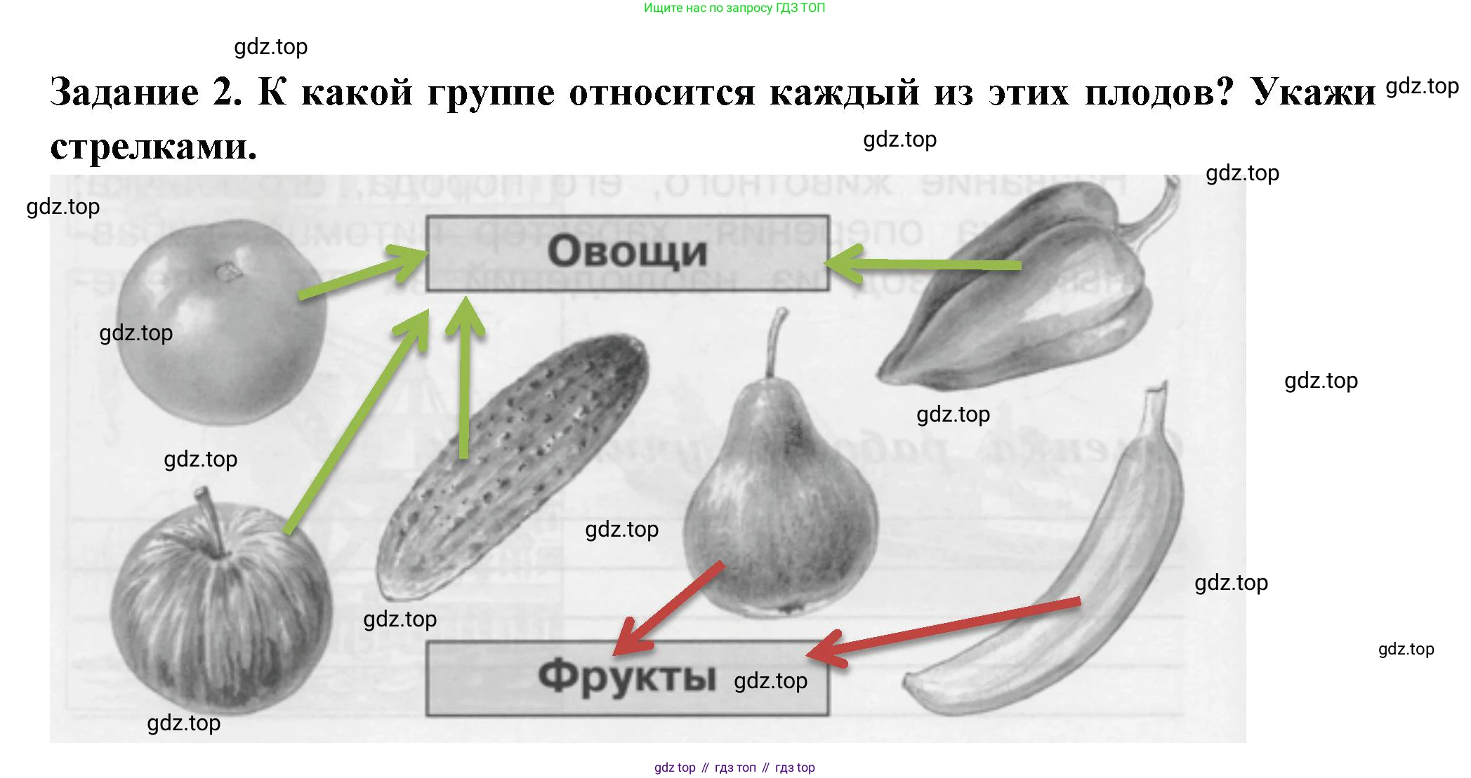 ГДЗ Окружающий мир, 1 класс Проверочные работы, авторы: Плешаков Андрей Анатольевич, Плешаков С А, издательство Просвещение, Москва, 2023, белого цвета, страница 52, номер 2, Решение