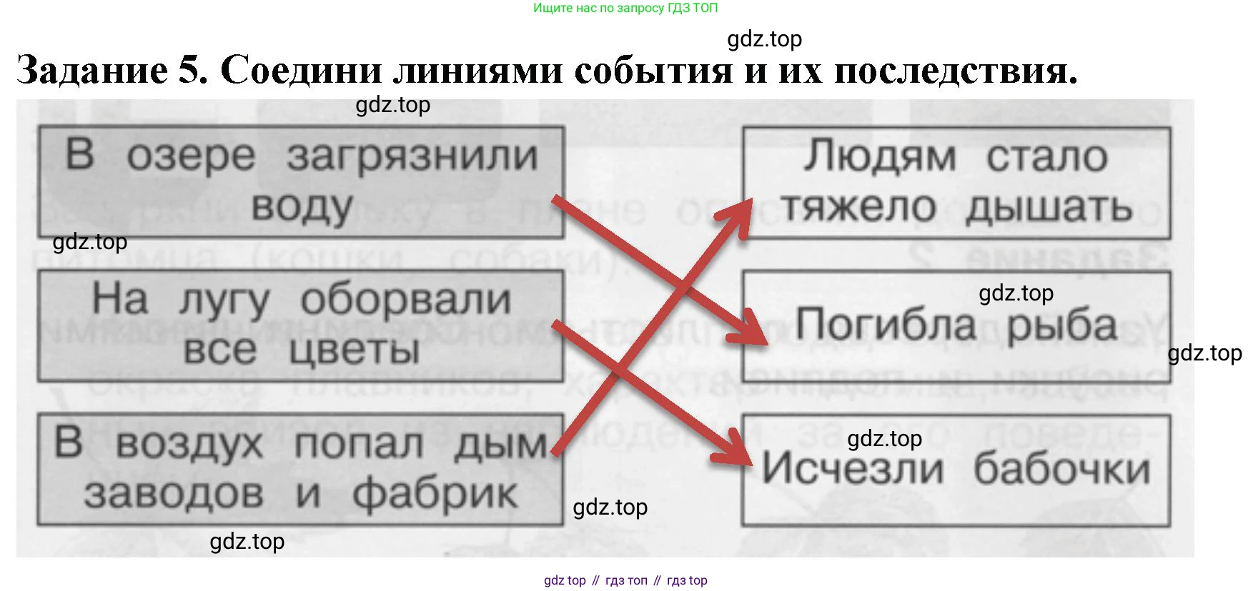 ГДЗ Окружающий мир, 1 класс Проверочные работы, авторы: Плешаков Андрей Анатольевич, Плешаков С А, издательство Просвещение, Москва, 2023, белого цвета, страница 53, номер 5, Решение