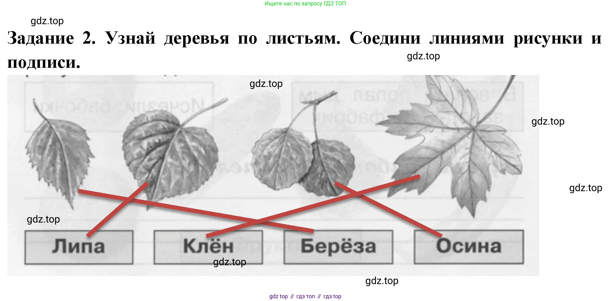 ГДЗ Окружающий мир, 1 класс Проверочные работы, авторы: Плешаков Андрей Анатольевич, Плешаков С А, издательство Просвещение, Москва, 2023, белого цвета, страница 54, номер 2, Решение