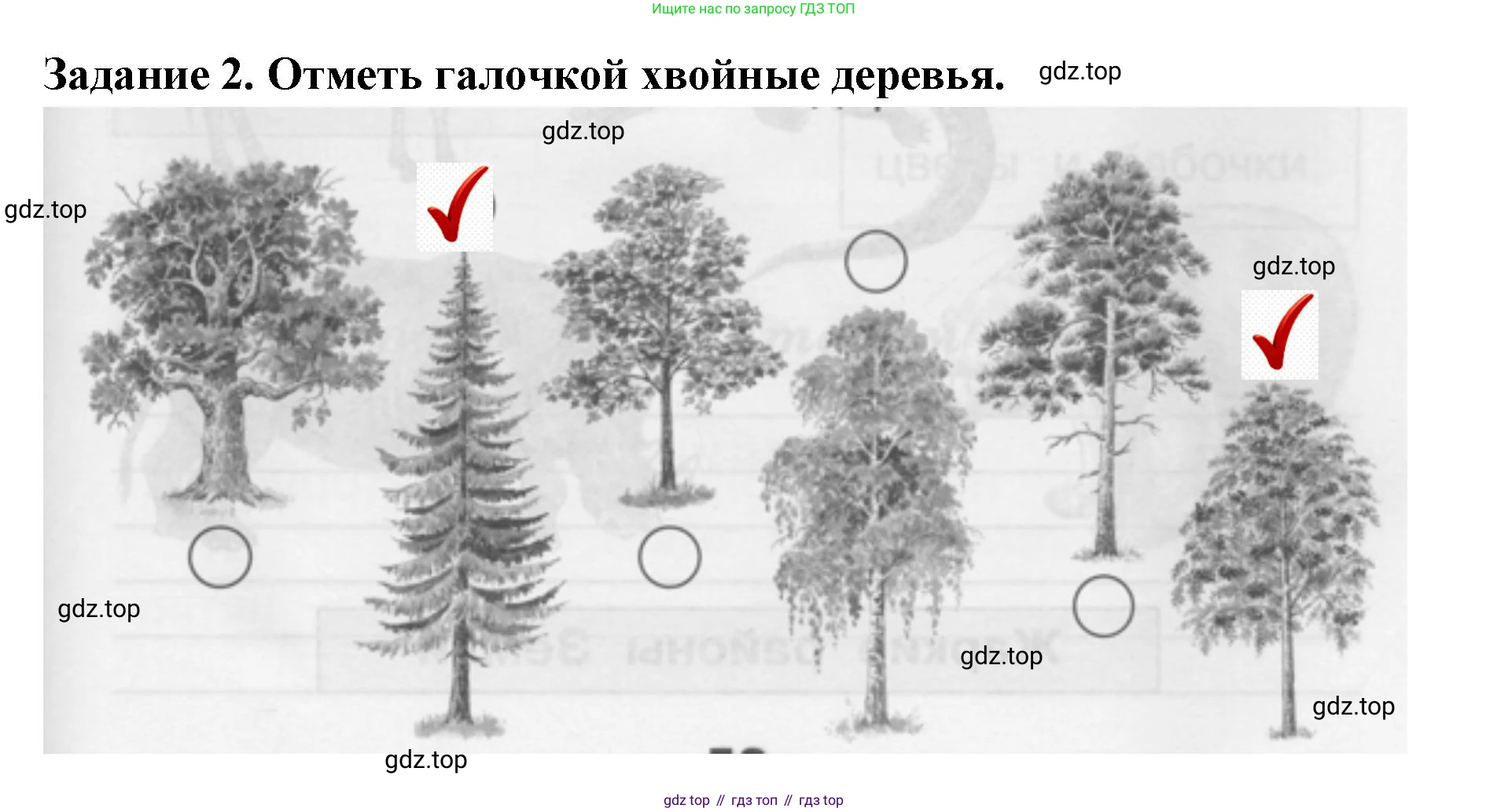 ГДЗ Окружающий мир, 1 класс Проверочные работы, авторы: Плешаков Андрей Анатольевич, Плешаков С А, издательство Просвещение, Москва, 2023, белого цвета, страница 59, номер 2, Решение