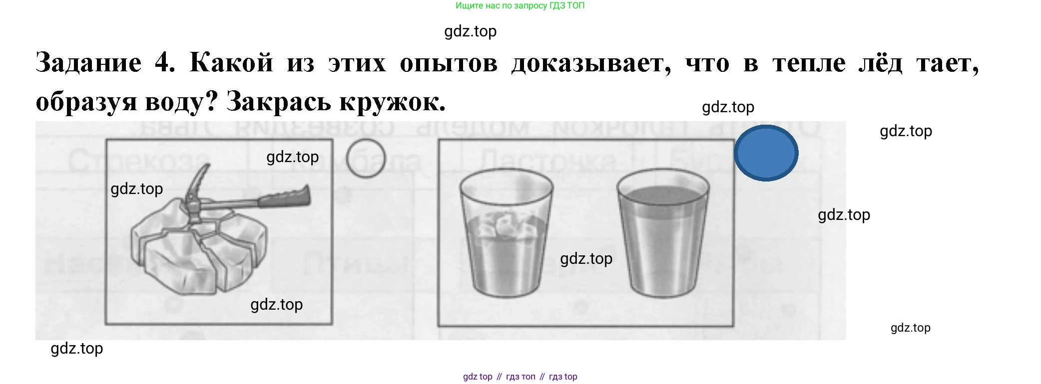 ГДЗ Окружающий мир, 1 класс Проверочные работы, авторы: Плешаков Андрей Анатольевич, Плешаков С А, издательство Просвещение, Москва, 2023, белого цвета, страница 61, номер 4, Решение