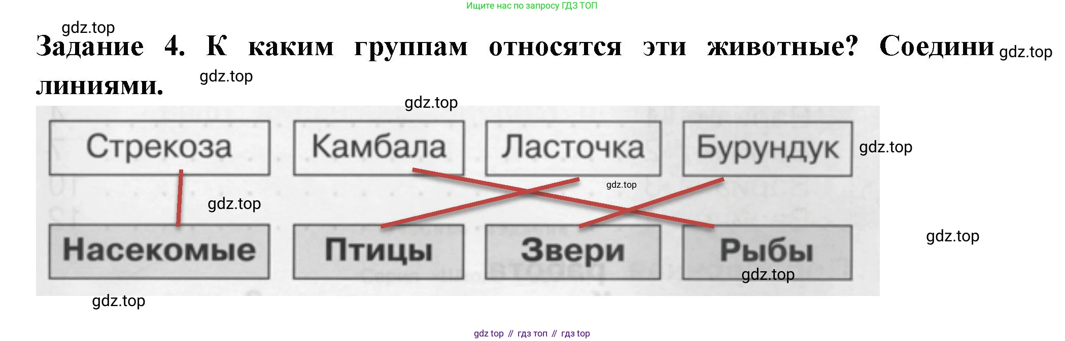 ГДЗ Окружающий мир, 1 класс Проверочные работы, авторы: Плешаков Андрей Анатольевич, Плешаков С А, издательство Просвещение, Москва, 2023, белого цвета, страница 63, номер 4, Решение