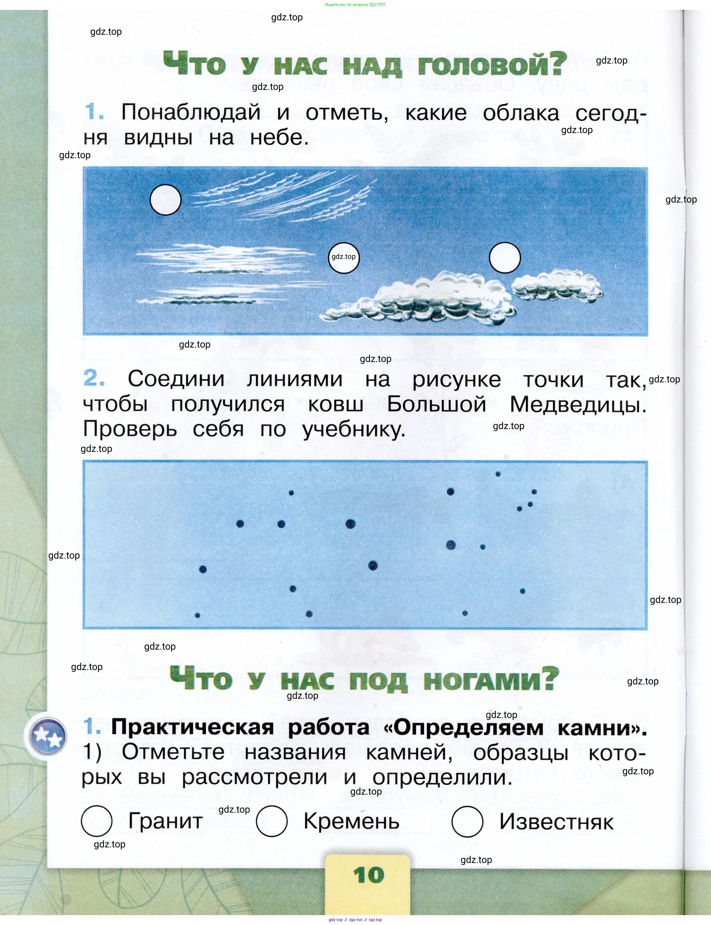 Окружающий мир, 1 класс рабочая тетрадь, автор: Плешаков Андрей Анатольевич, издательство Просвещение, Москва, 2023, белого цвета, Часть 1, страница 10