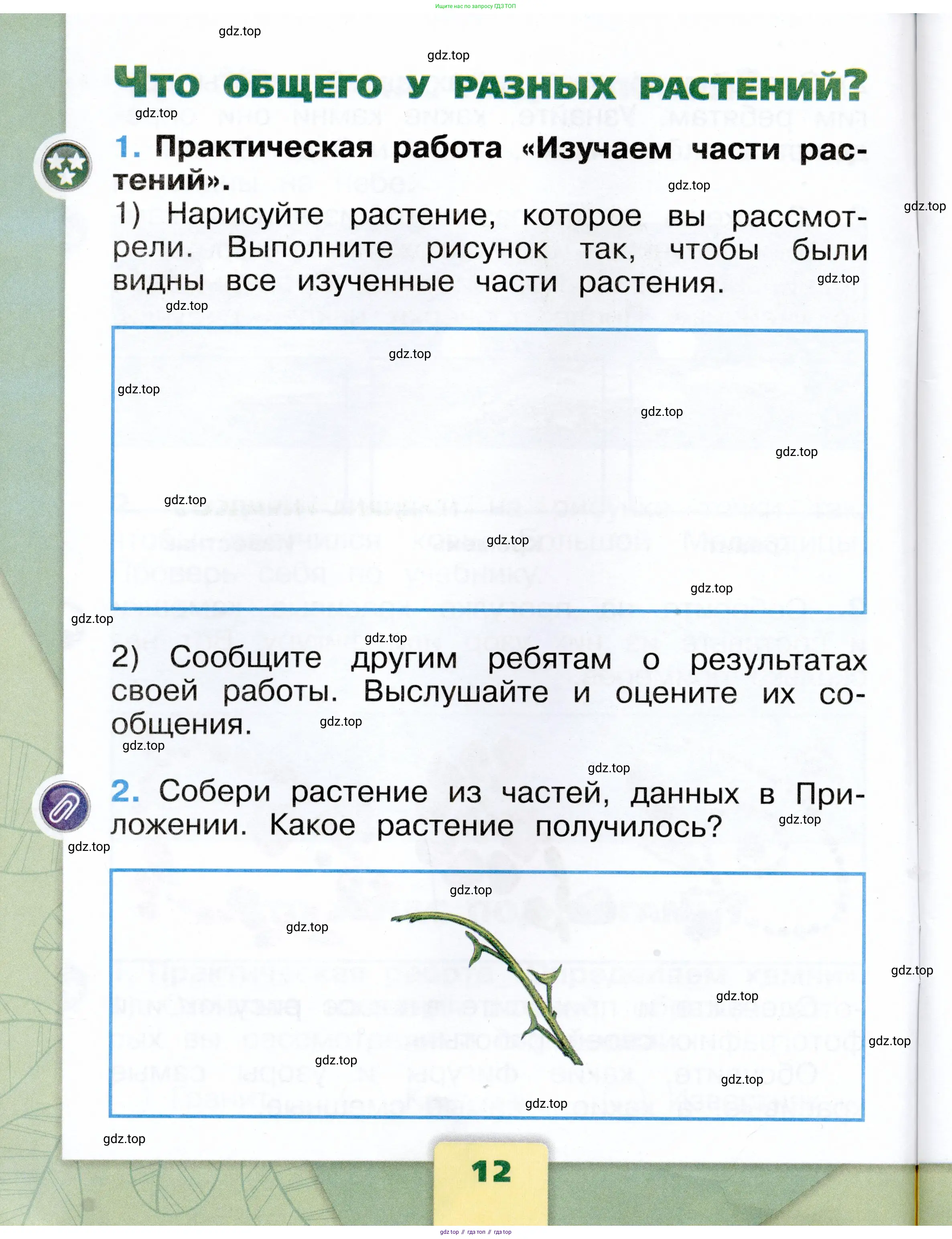 Окружающий мир, 1 класс рабочая тетрадь, автор: Плешаков Андрей Анатольевич, издательство Просвещение, Москва, 2023, белого цвета, Часть 1, страница 12