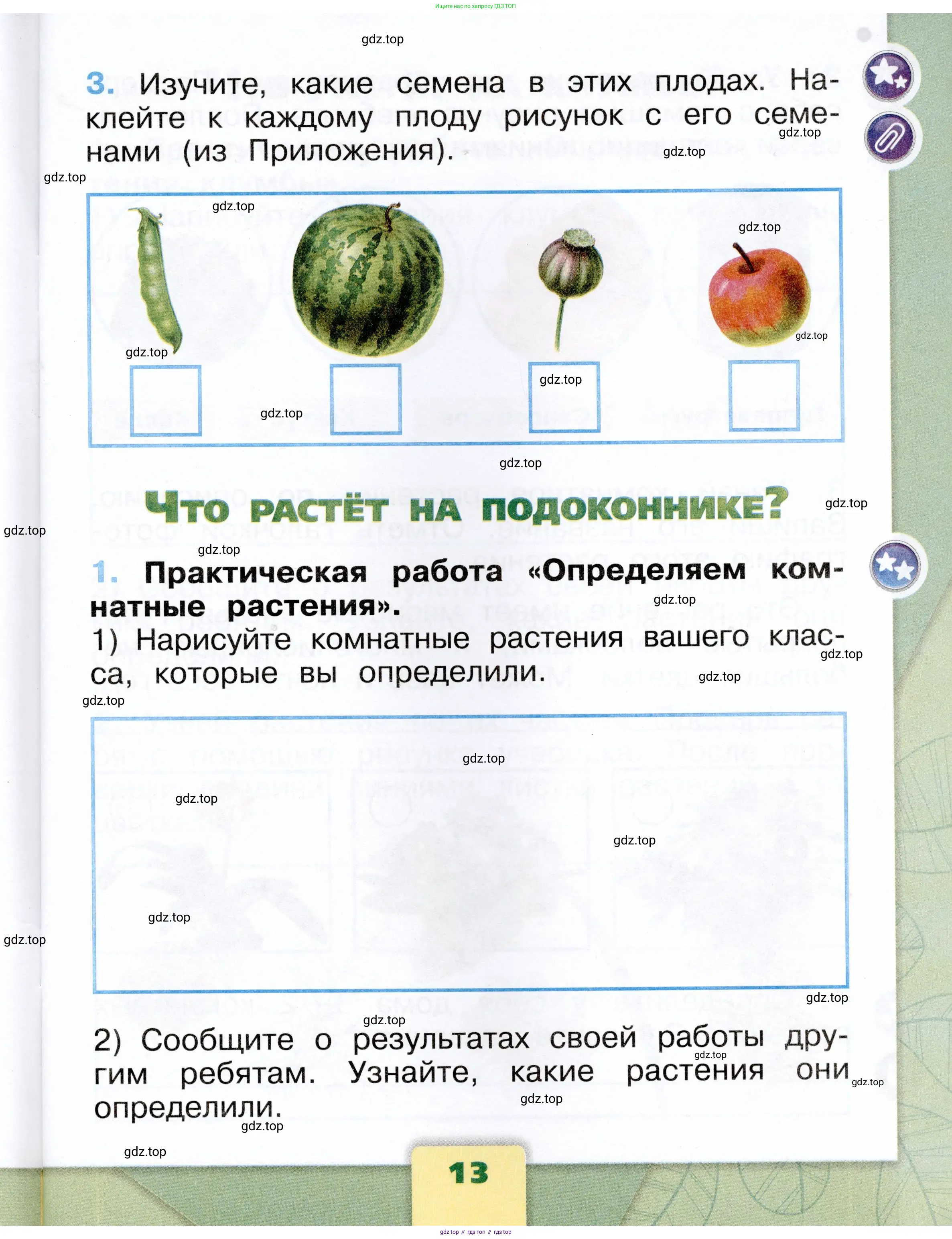 Окружающий мир, 1 класс рабочая тетрадь, автор: Плешаков Андрей Анатольевич, издательство Просвещение, Москва, 2023, белого цвета, Часть 1, страница 13