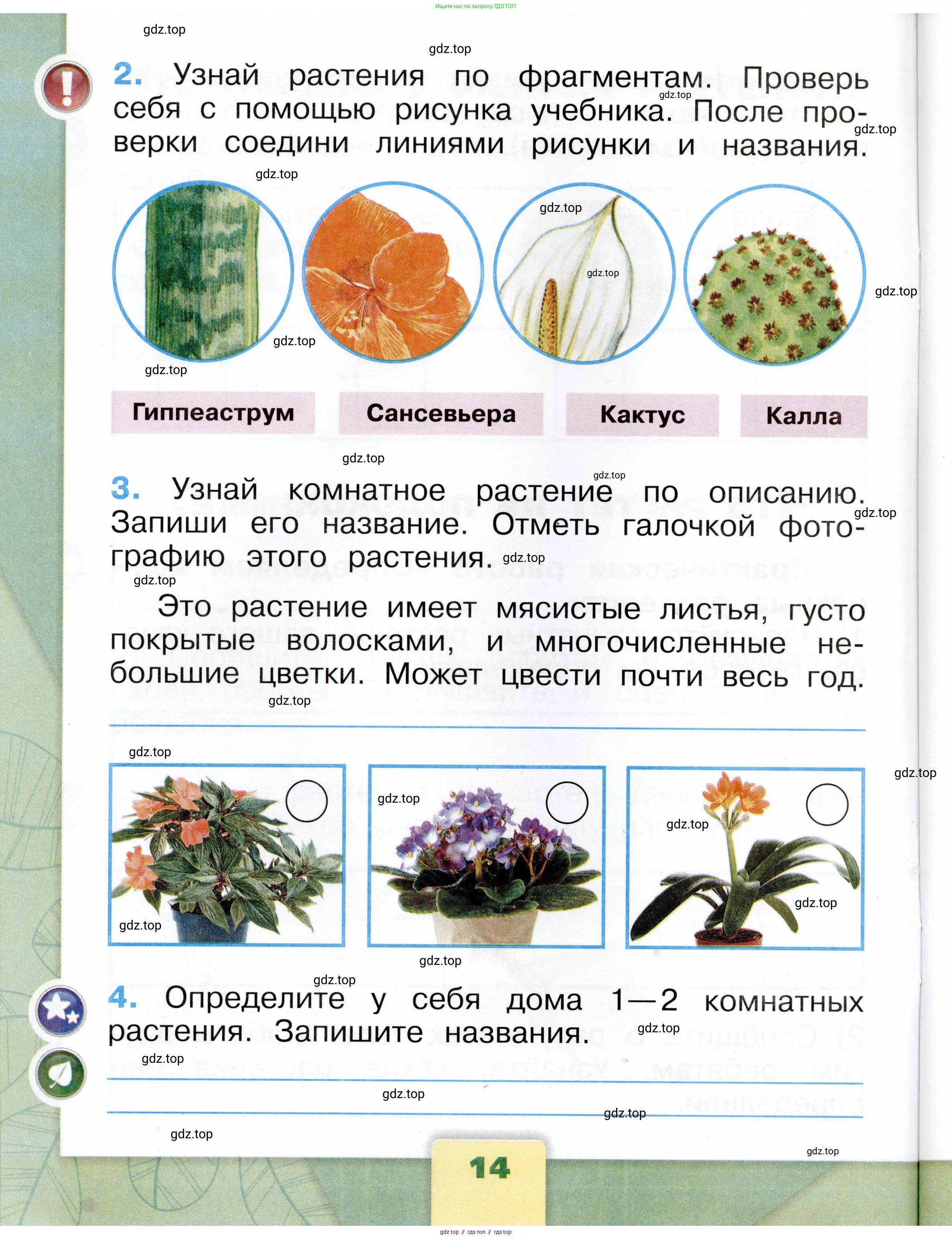 Окружающий мир, 1 класс рабочая тетрадь, автор: Плешаков Андрей Анатольевич, издательство Просвещение, Москва, 2023, белого цвета, страница 14