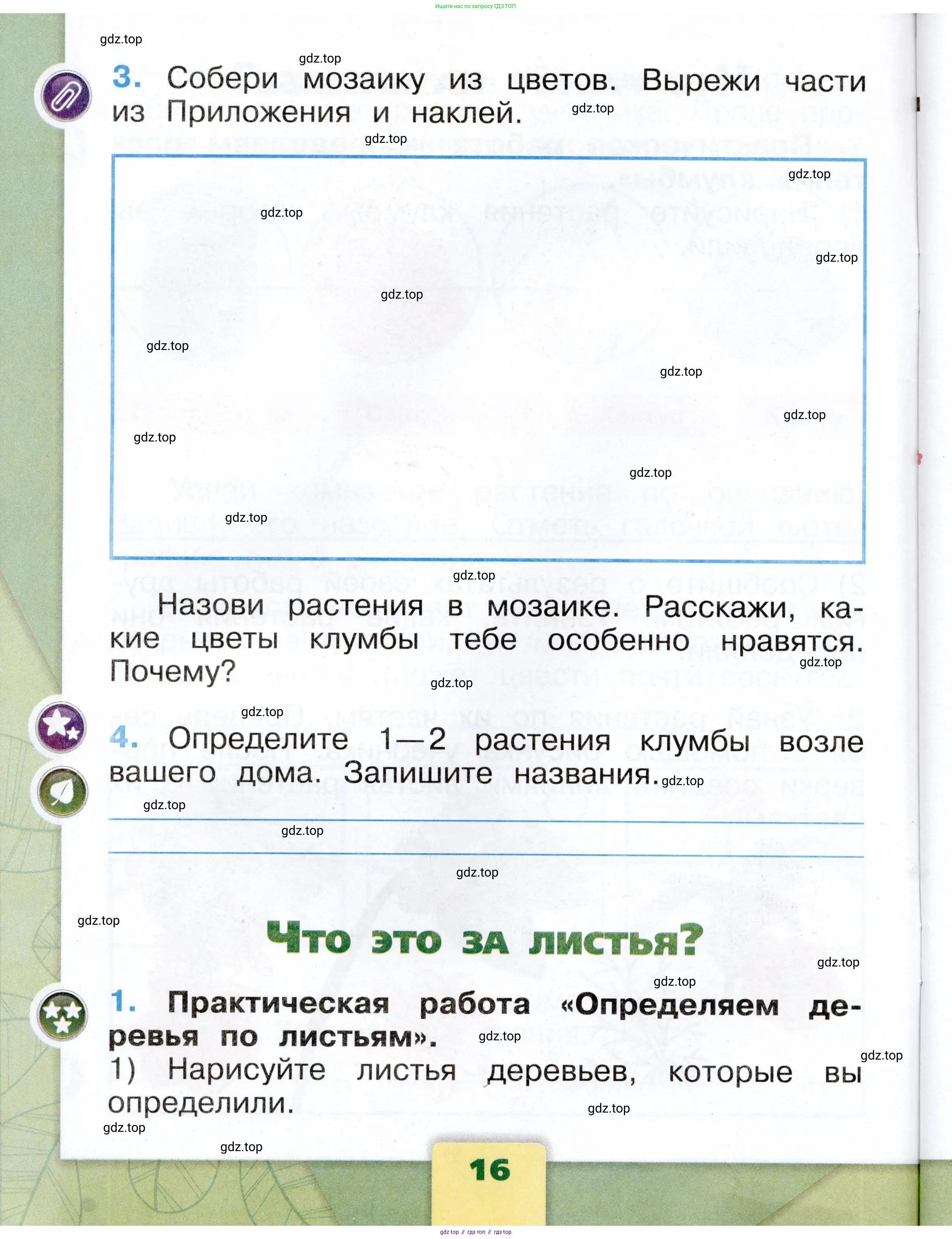 Окружающий мир, 1 класс рабочая тетрадь, автор: Плешаков Андрей Анатольевич, издательство Просвещение, Москва, 2023, белого цвета, Часть 1, страница 16