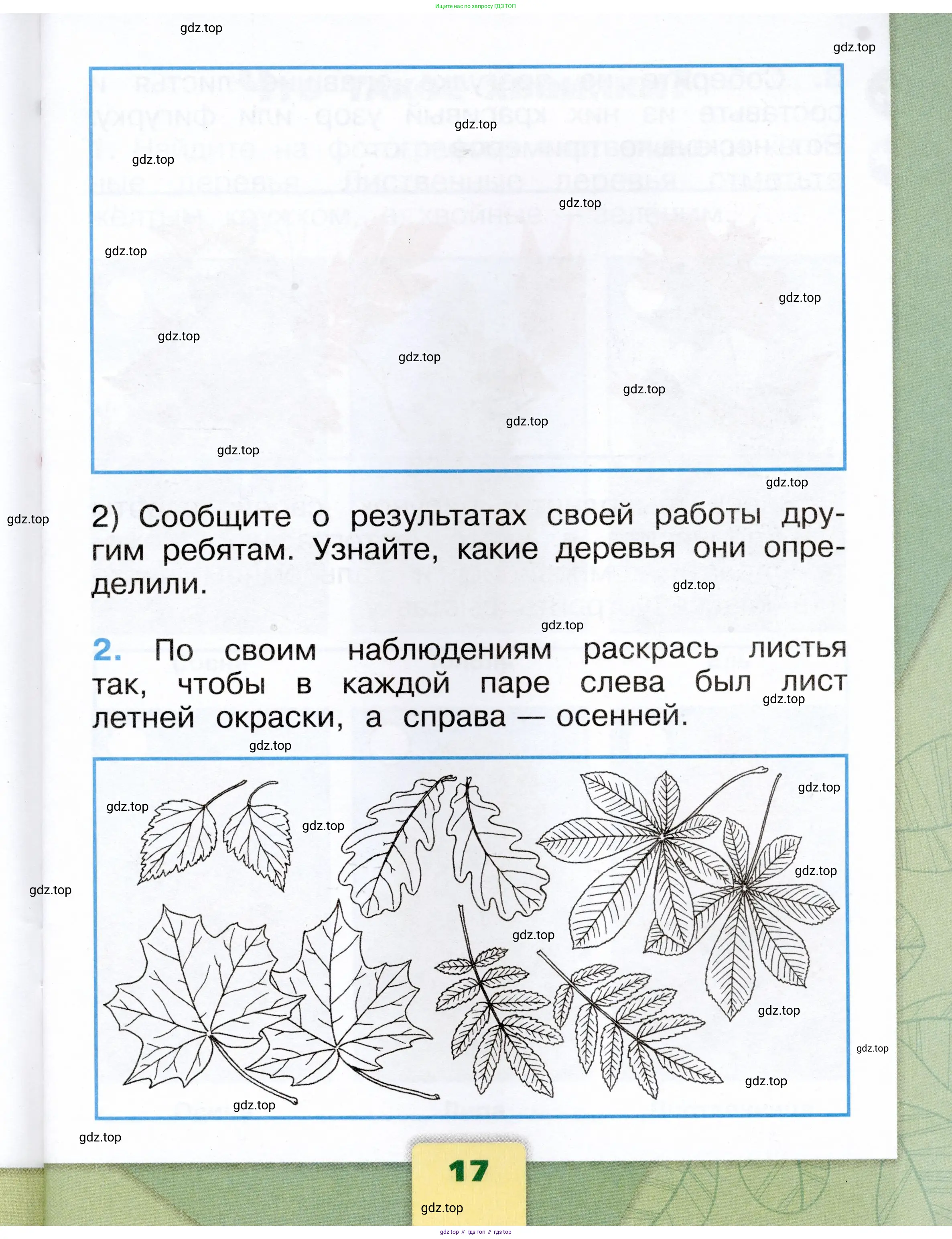 Окружающий мир, 1 класс рабочая тетрадь, автор: Плешаков Андрей Анатольевич, издательство Просвещение, Москва, 2023, белого цвета, страница 17
