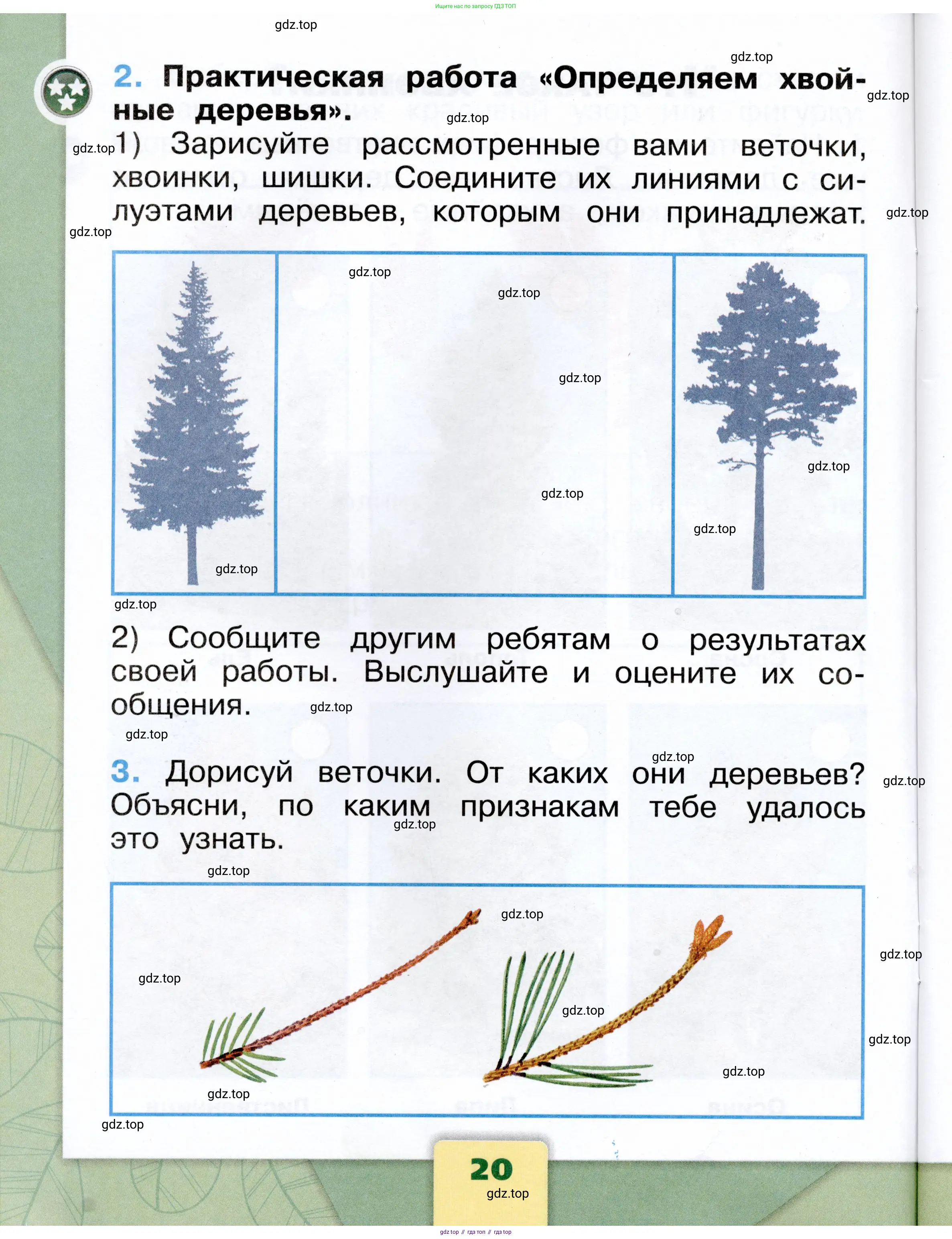 Окружающий мир, 1 класс рабочая тетрадь, автор: Плешаков Андрей Анатольевич, издательство Просвещение, Москва, 2023, белого цвета, Часть 2, страница 20