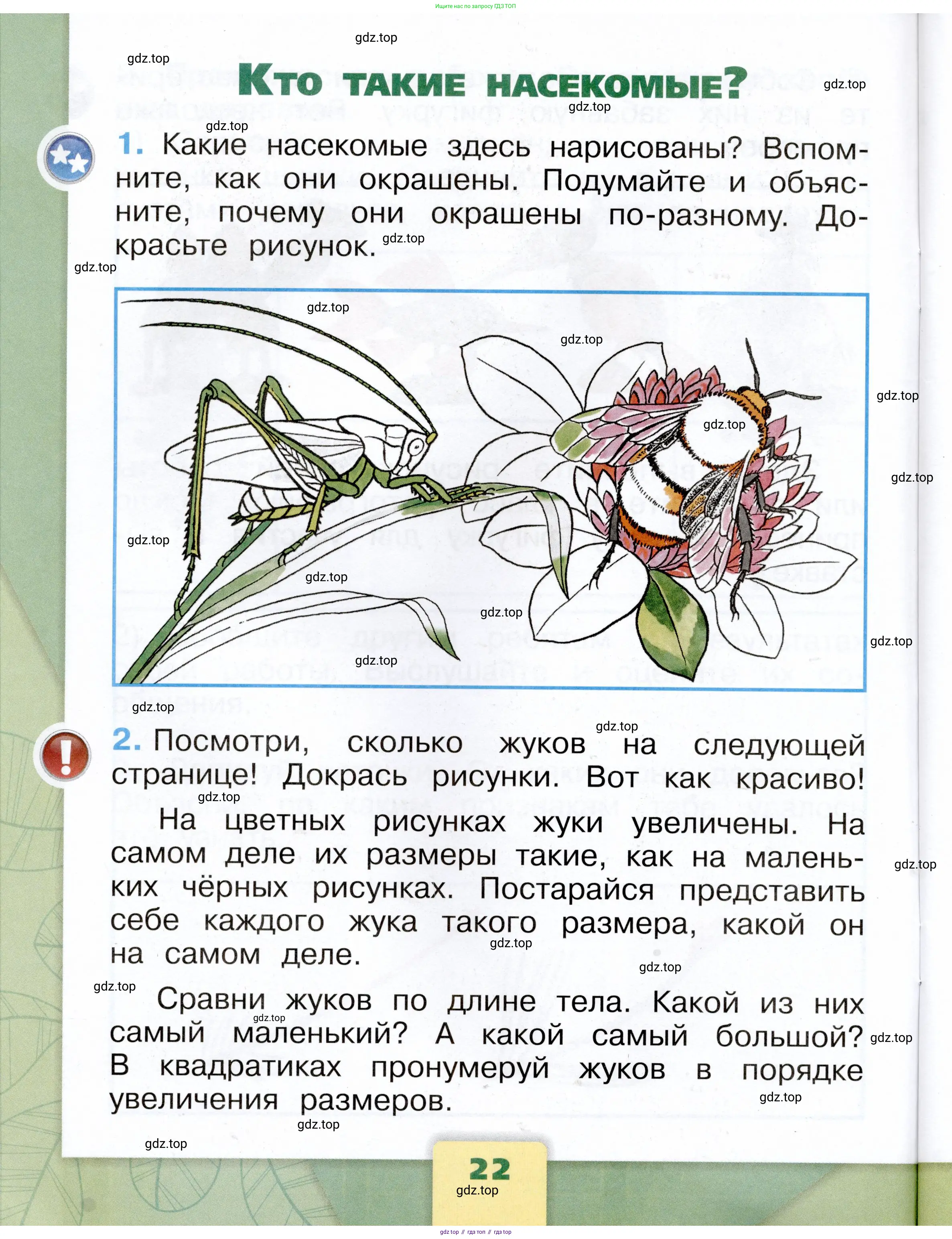 Окружающий мир, 1 класс рабочая тетрадь, автор: Плешаков Андрей Анатольевич, издательство Просвещение, Москва, 2023, белого цвета, Часть 1, страница 22