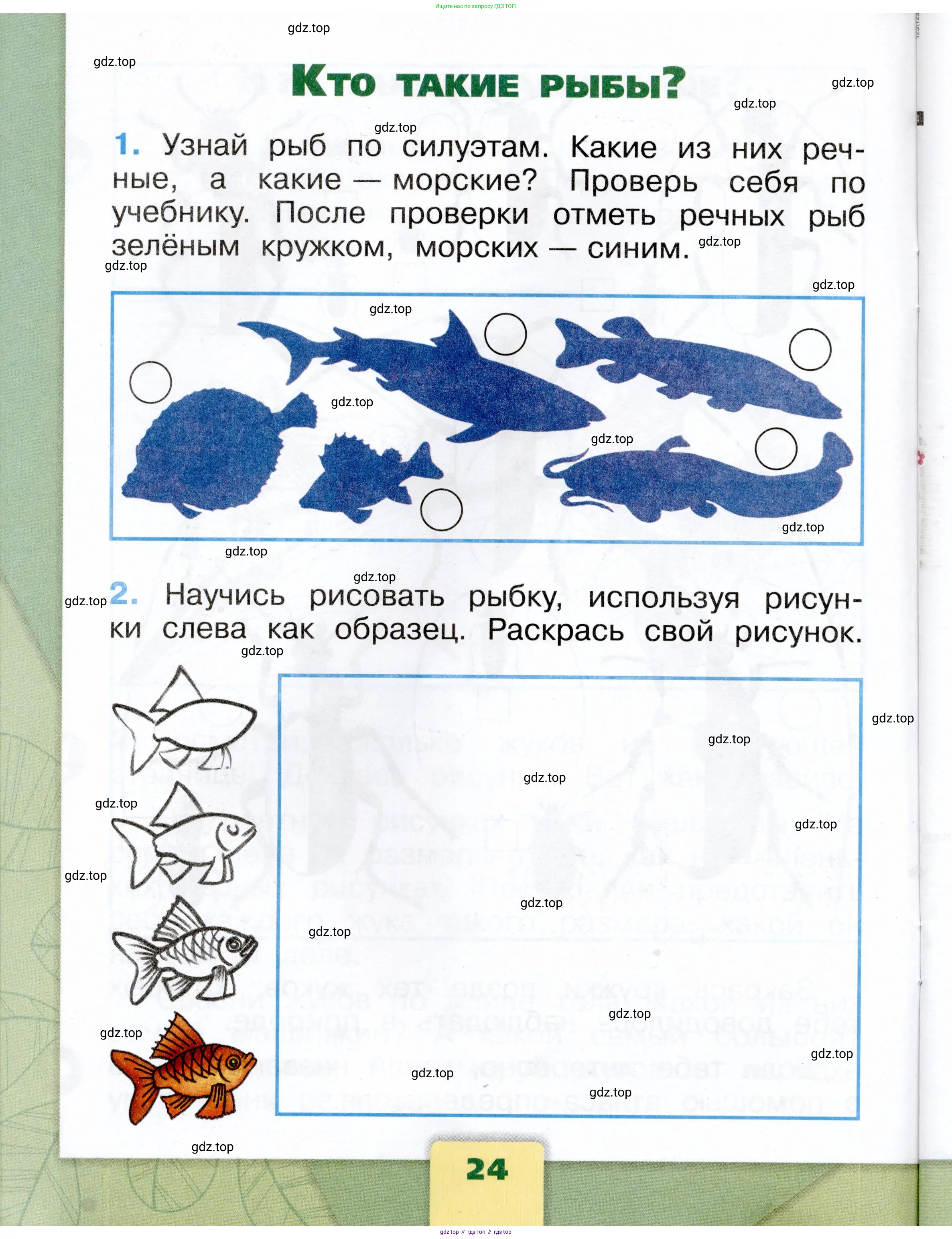 Окружающий мир, 1 класс рабочая тетрадь, автор: Плешаков Андрей Анатольевич, издательство Просвещение, Москва, 2023, белого цвета, Часть 1, страница 24