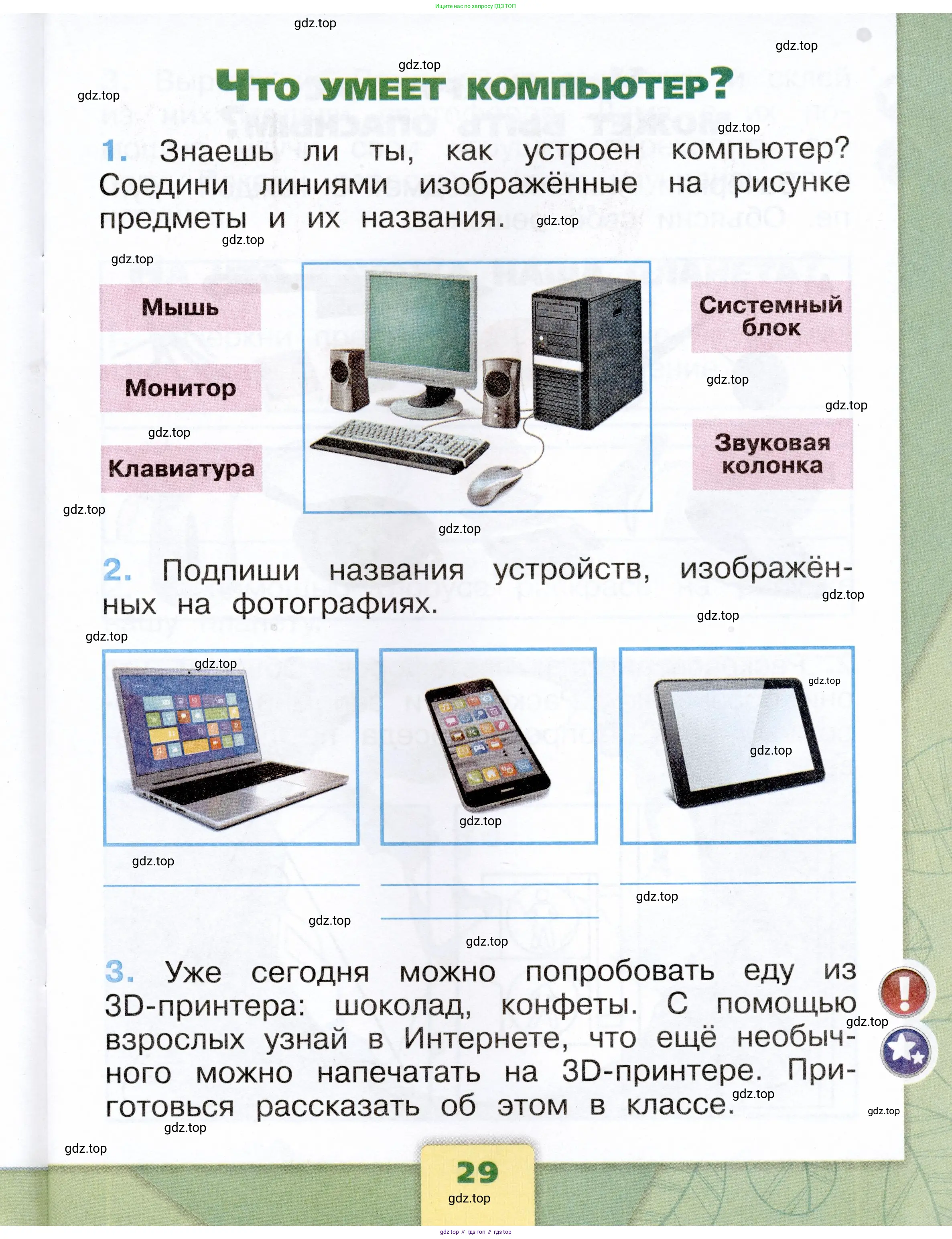 Окружающий мир, 1 класс рабочая тетрадь, автор: Плешаков Андрей Анатольевич, издательство Просвещение, Москва, 2023, белого цвета, Часть 1, страница 29