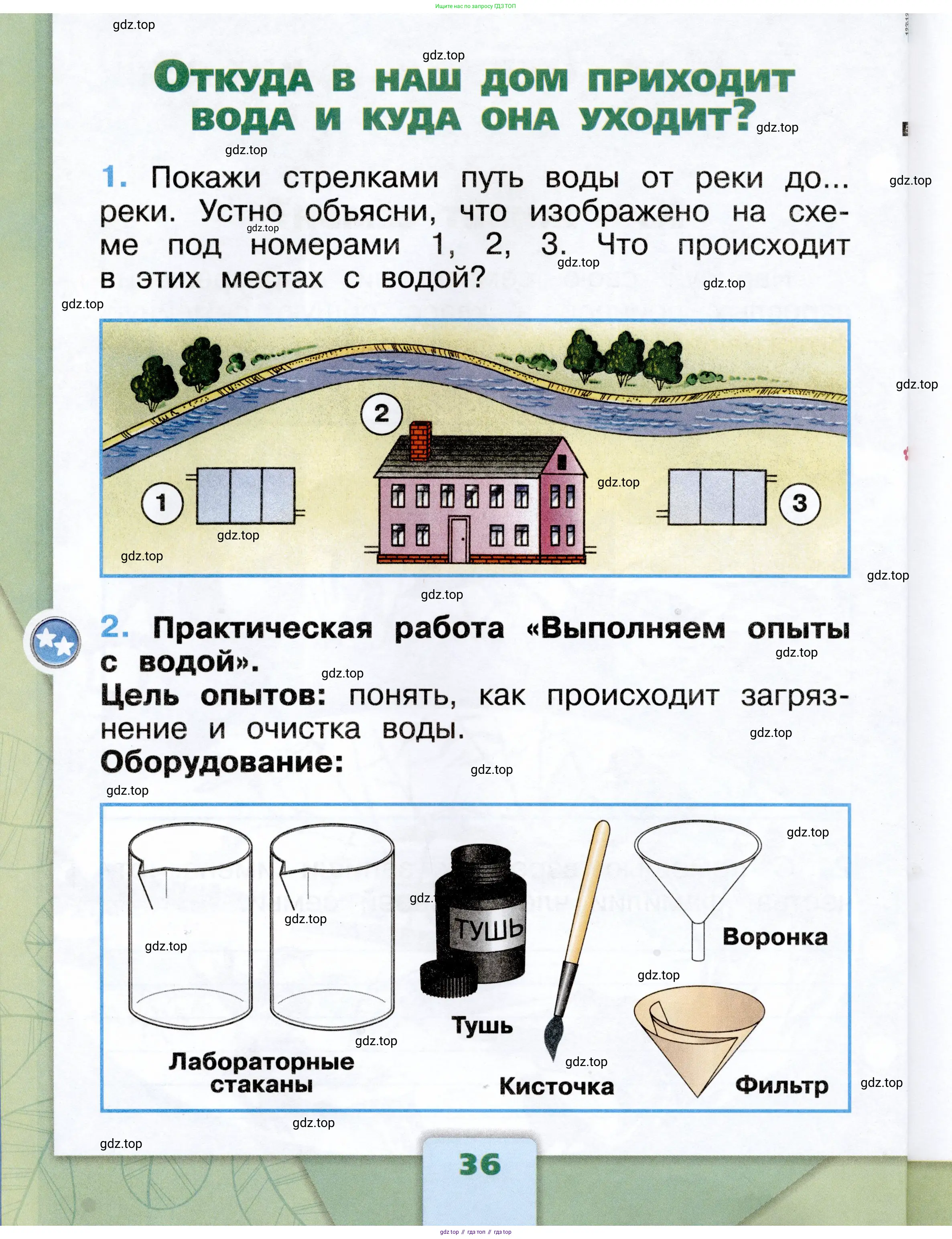 Окружающий мир, 1 класс рабочая тетрадь, автор: Плешаков Андрей Анатольевич, издательство Просвещение, Москва, 2023, белого цвета, Часть 1, страница 36