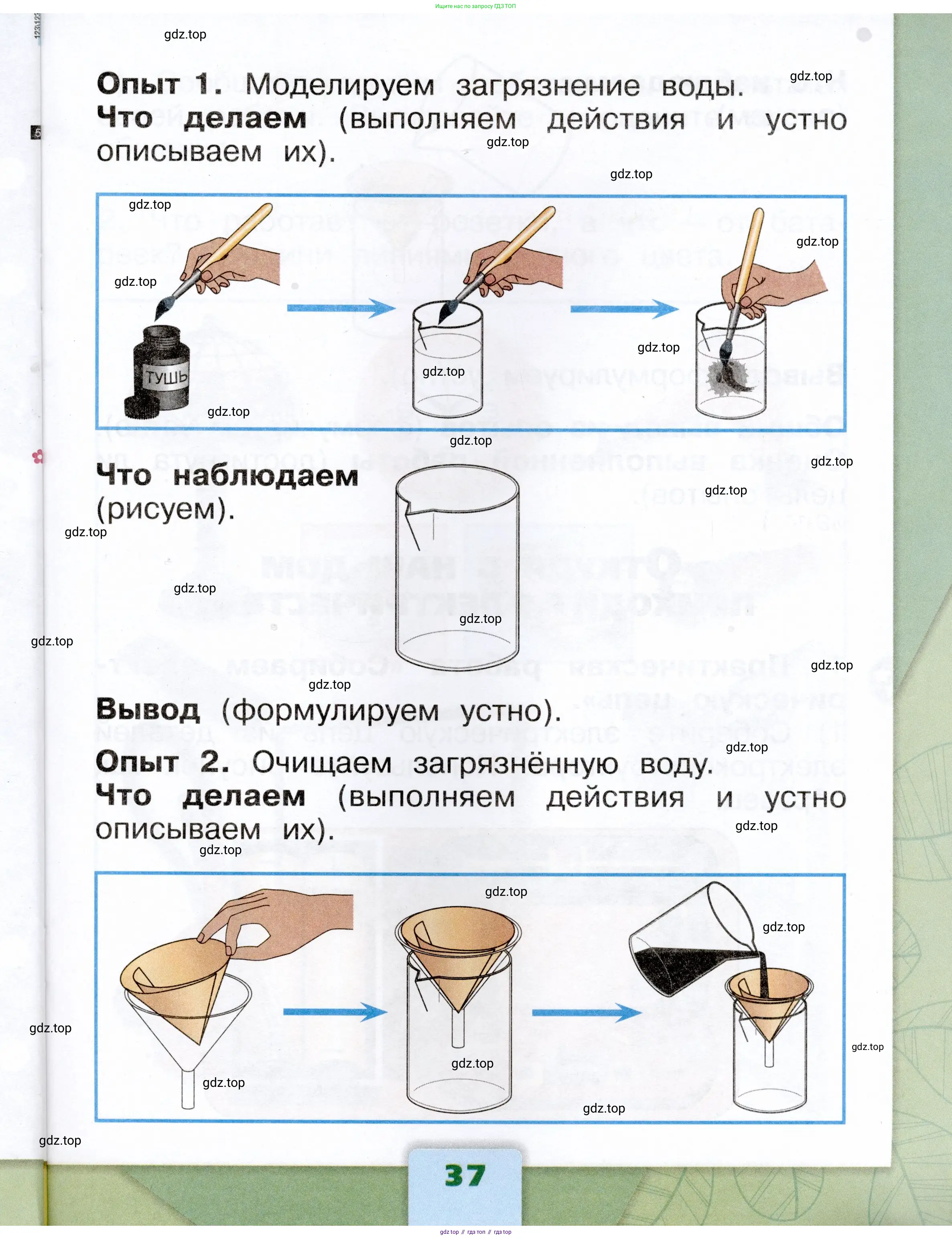 Окружающий мир, 1 класс рабочая тетрадь, автор: Плешаков Андрей Анатольевич, издательство Просвещение, Москва, 2023, белого цвета, страница 37