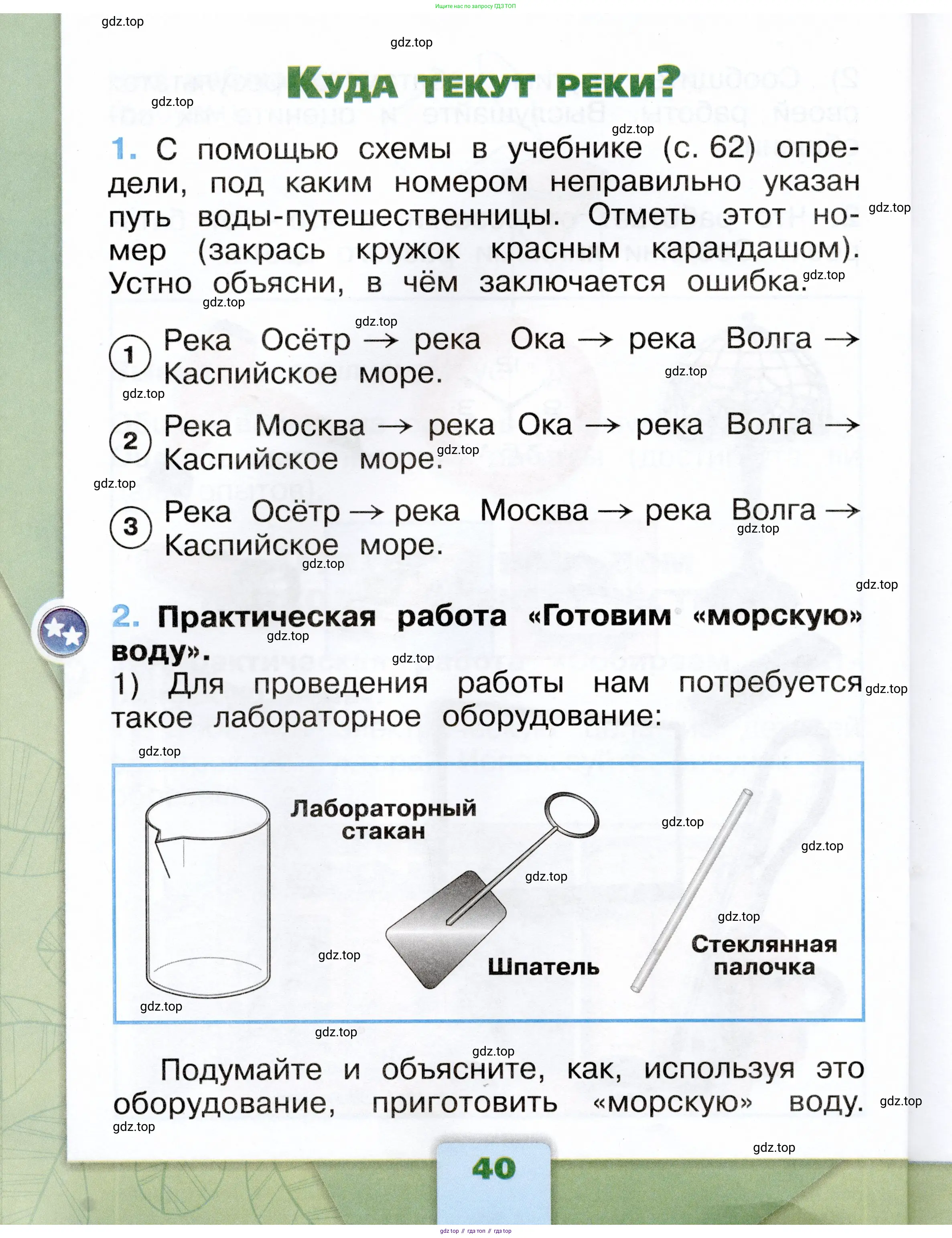 Окружающий мир, 1 класс рабочая тетрадь, автор: Плешаков Андрей Анатольевич, издательство Просвещение, Москва, 2023, белого цвета, Часть 1, страница 40