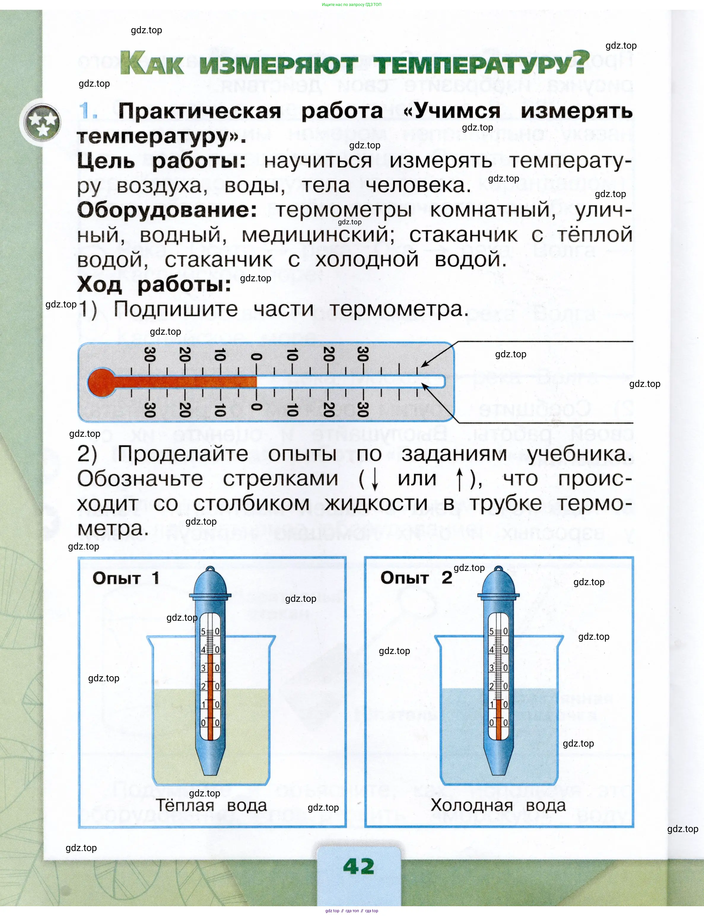Окружающий мир, 1 класс рабочая тетрадь, автор: Плешаков Андрей Анатольевич, издательство Просвещение, Москва, 2023, белого цвета, Часть 1, страница 42
