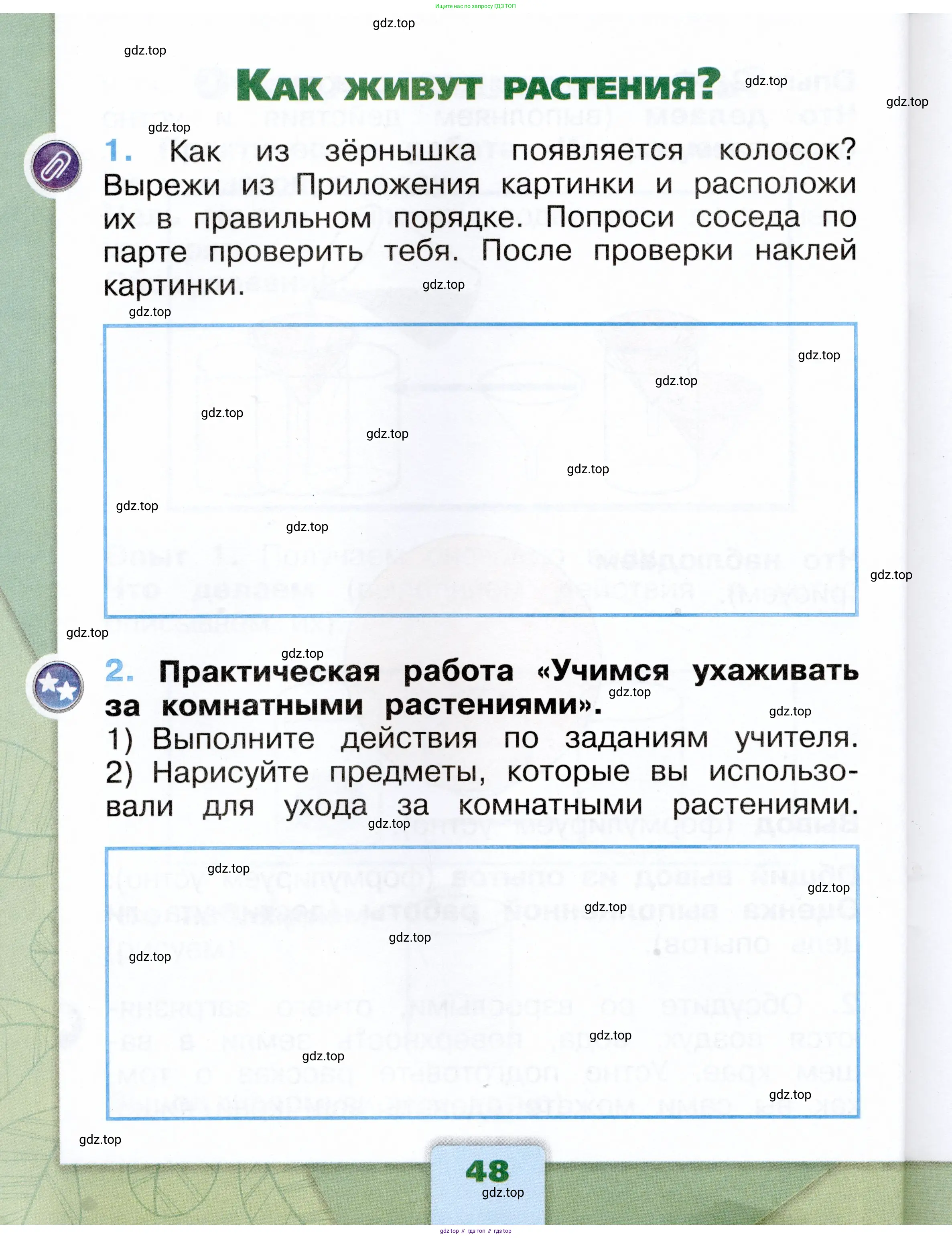 Окружающий мир, 1 класс рабочая тетрадь, автор: Плешаков Андрей Анатольевич, издательство Просвещение, Москва, 2023, белого цвета, Часть 1, страница 48