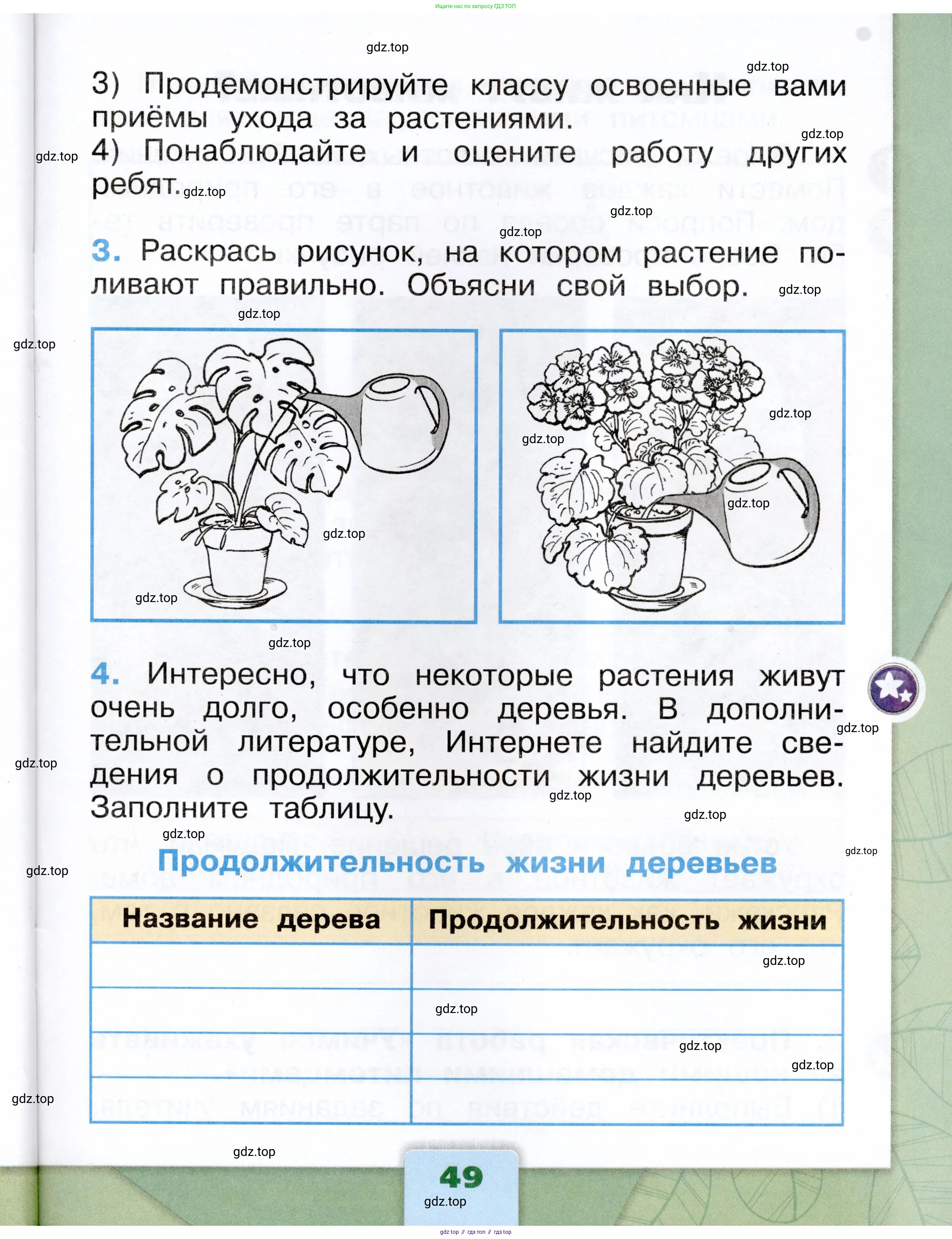 Окружающий мир, 1 класс рабочая тетрадь, автор: Плешаков Андрей Анатольевич, издательство Просвещение, Москва, 2023, белого цвета, страница 49