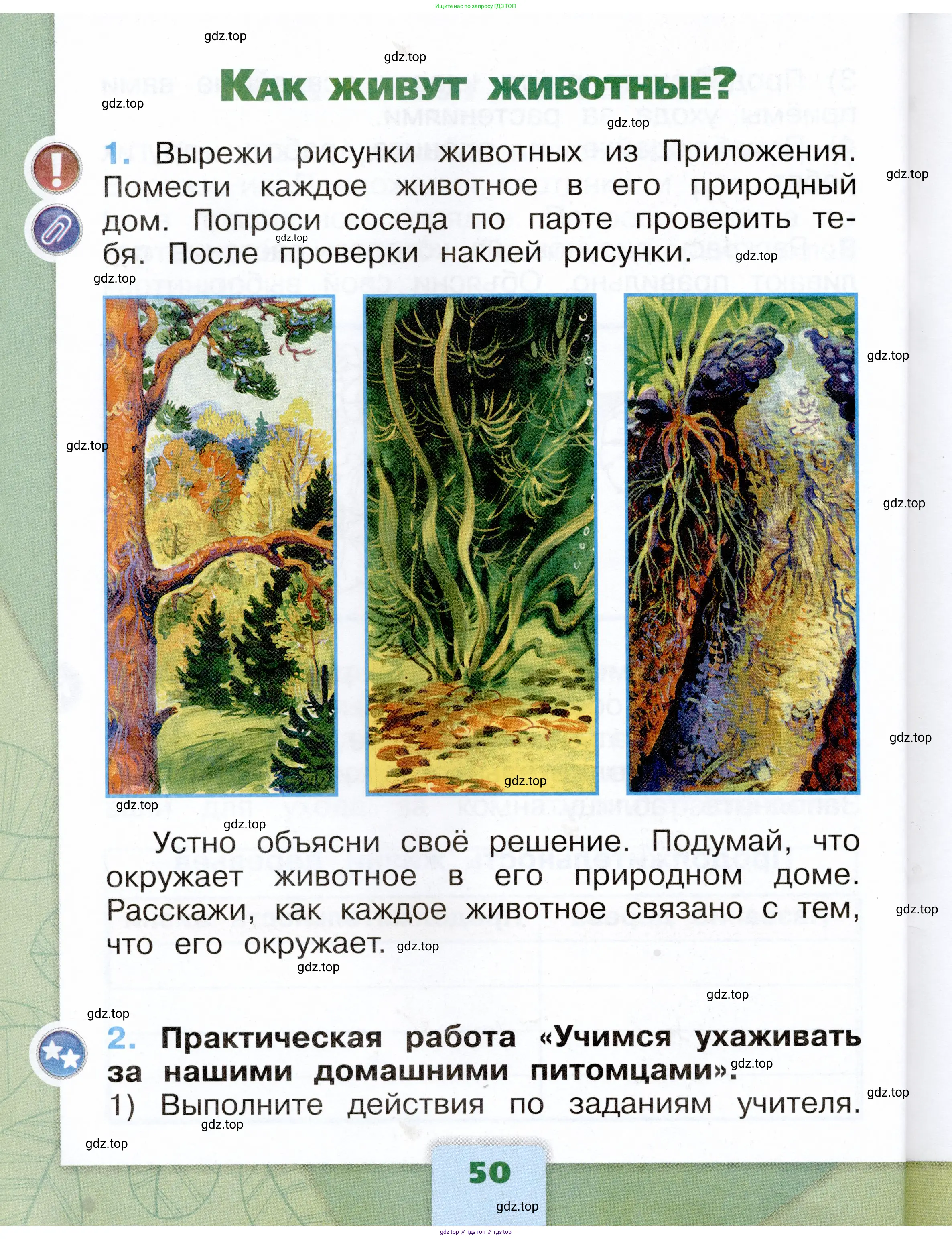 Окружающий мир, 1 класс рабочая тетрадь, автор: Плешаков Андрей Анатольевич, издательство Просвещение, Москва, 2023, белого цвета, Часть 1, страница 50