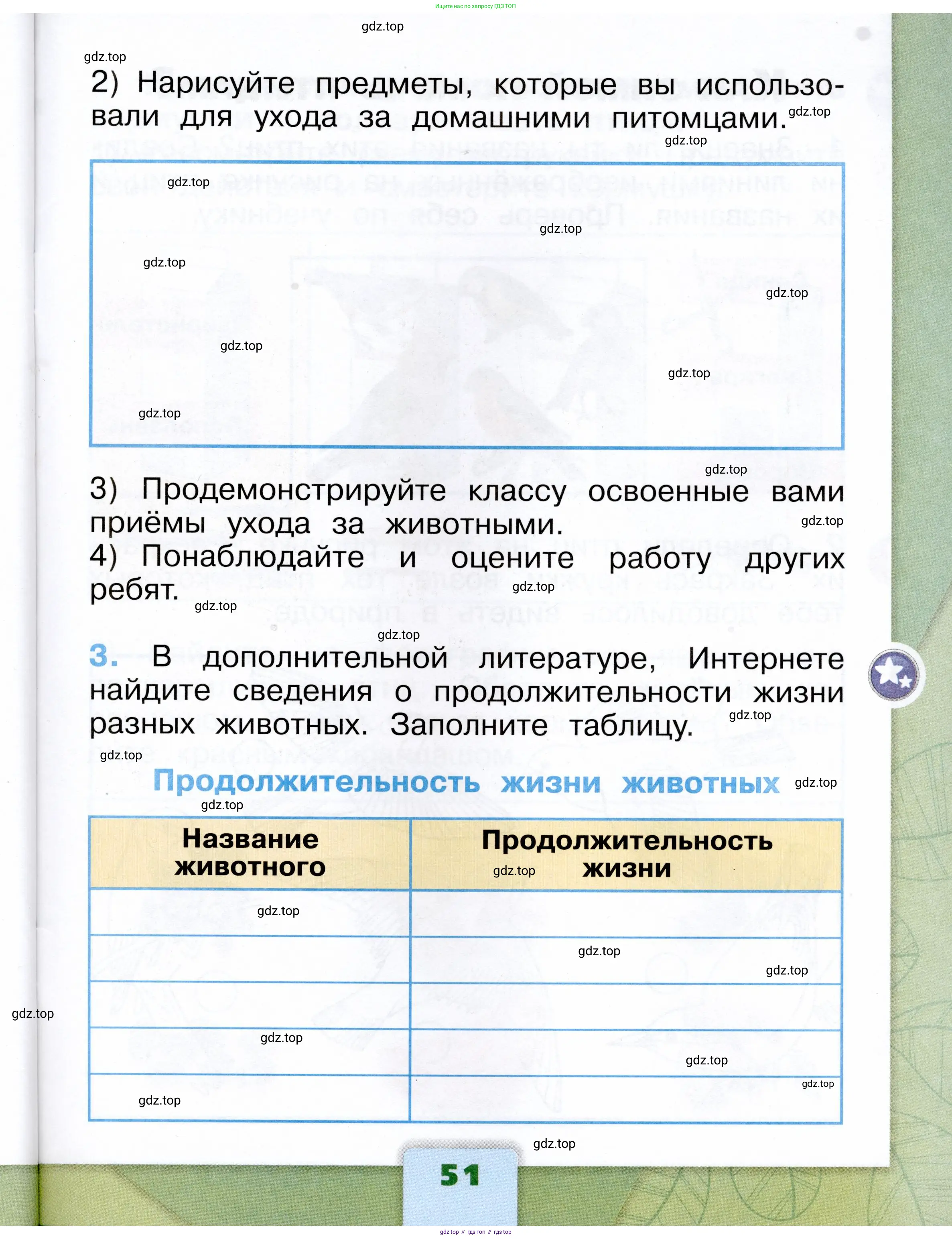Окружающий мир, 1 класс рабочая тетрадь, автор: Плешаков Андрей Анатольевич, издательство Просвещение, Москва, 2023, белого цвета, страница 51