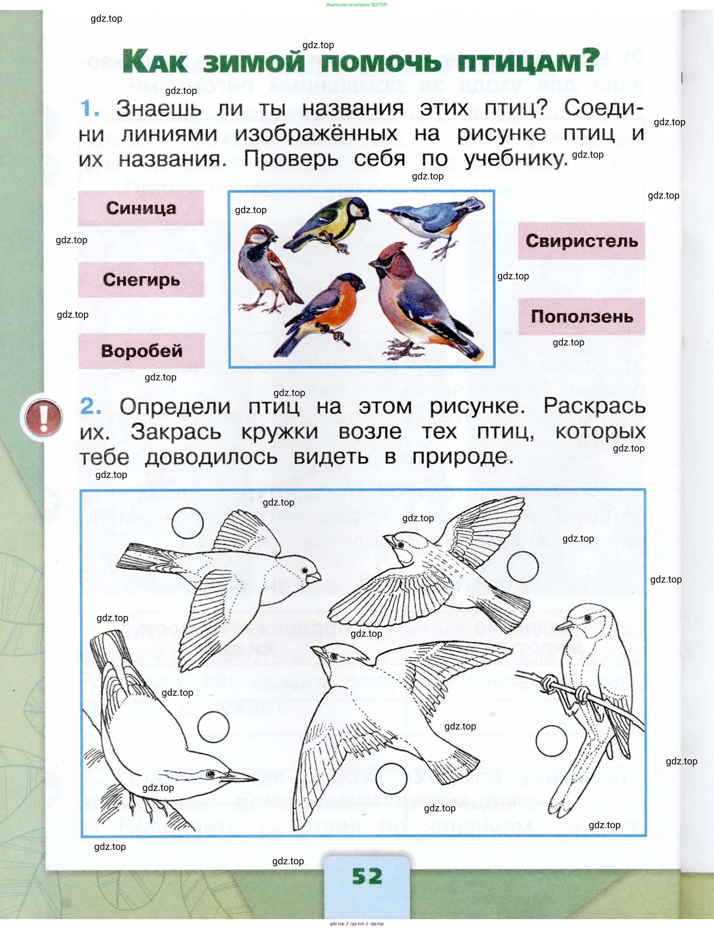 Окружающий мир, 1 класс рабочая тетрадь, автор: Плешаков Андрей Анатольевич, издательство Просвещение, Москва, 2023, белого цвета, Часть 1, страница 52
