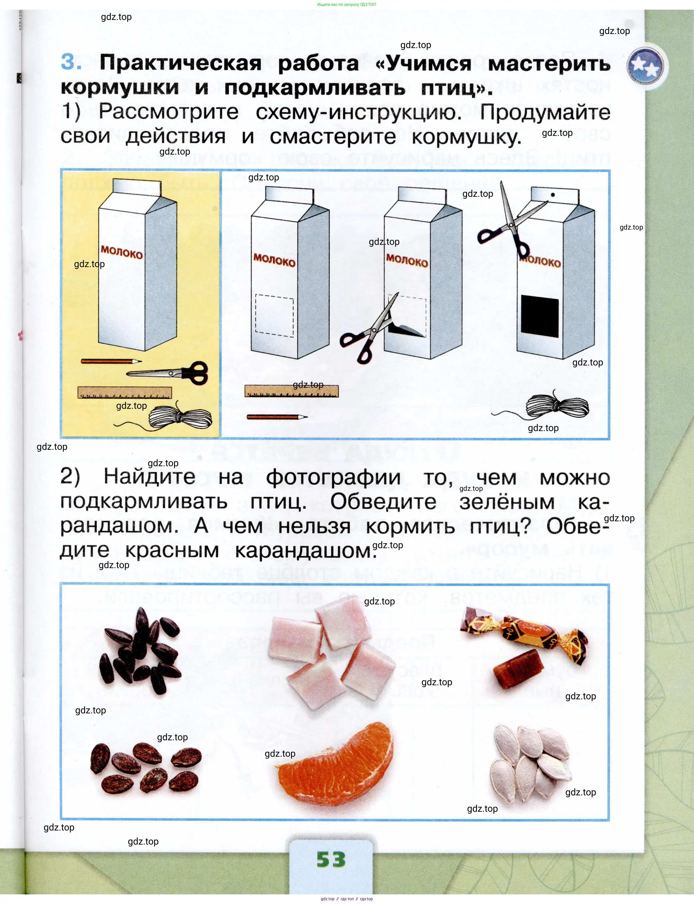 Окружающий мир, 1 класс рабочая тетрадь, автор: Плешаков Андрей Анатольевич, издательство Просвещение, Москва, 2023, белого цвета, страница 53